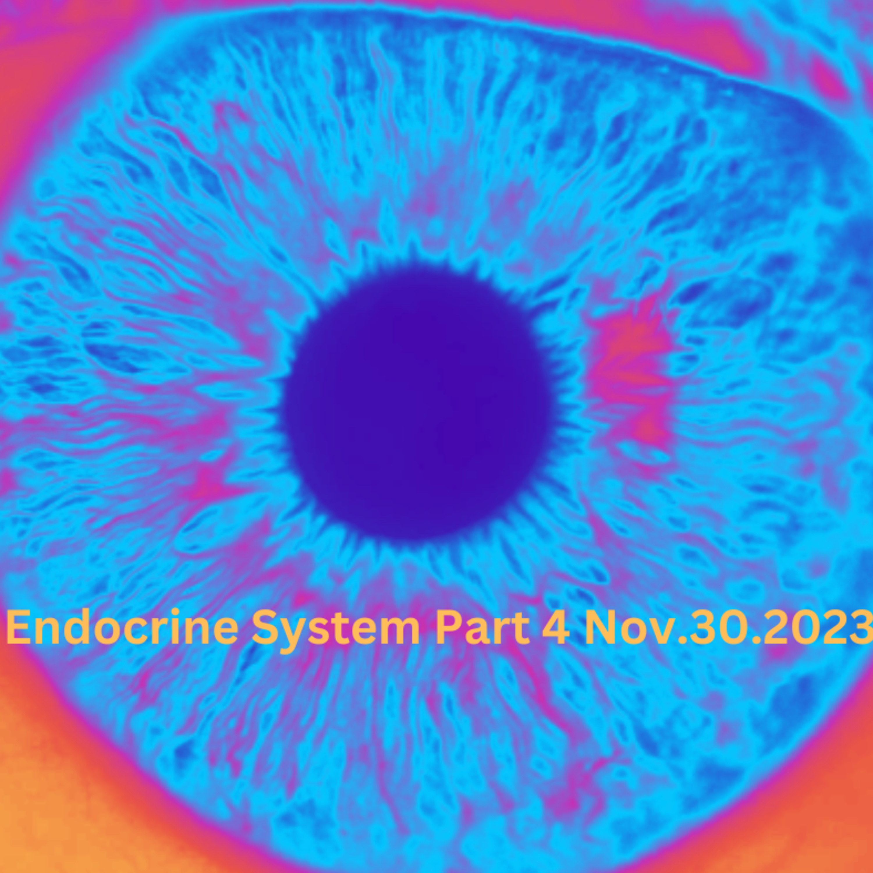 Adrenal Balance Nov302023 episode artwork