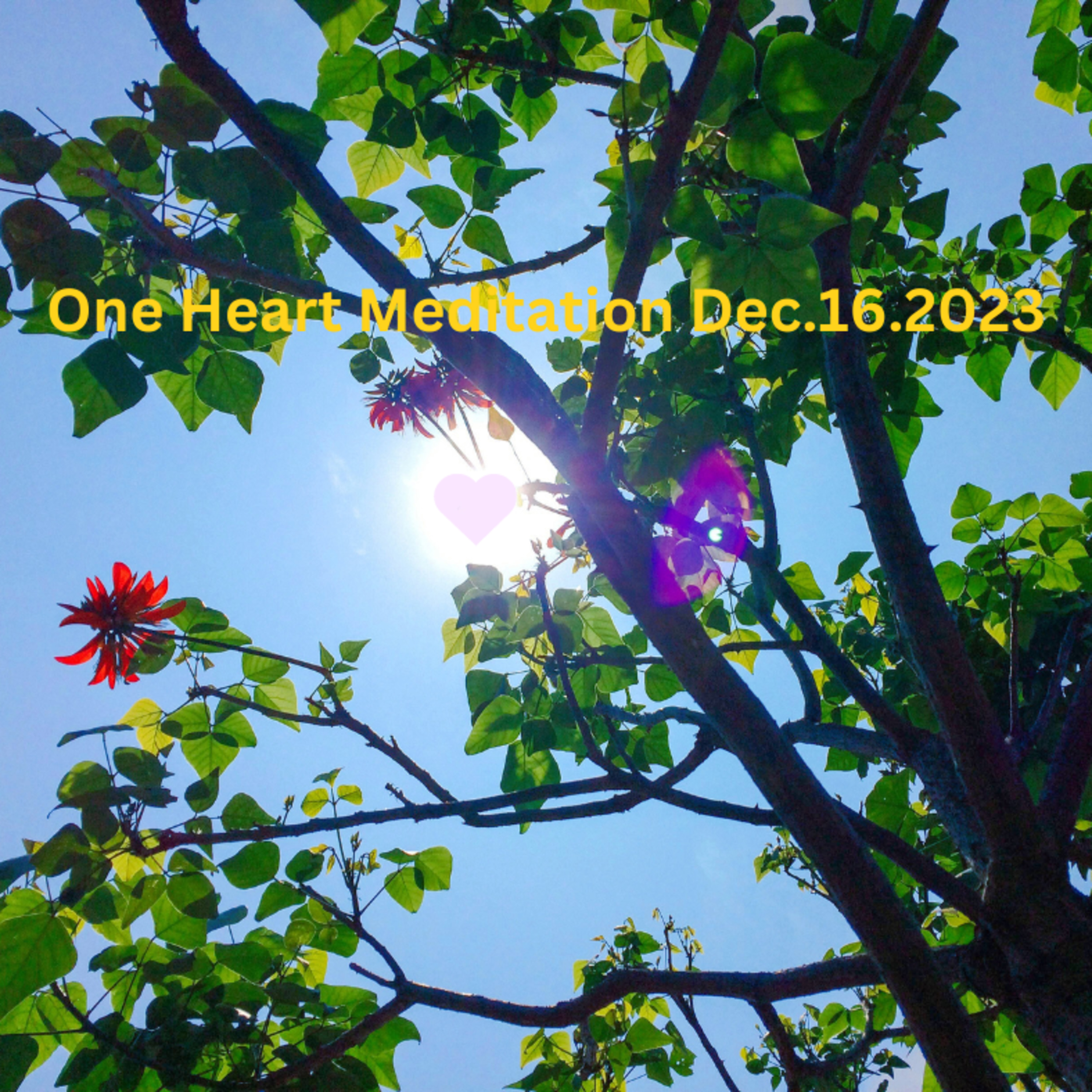 One Heart Meditation Dec162023 episode artwork