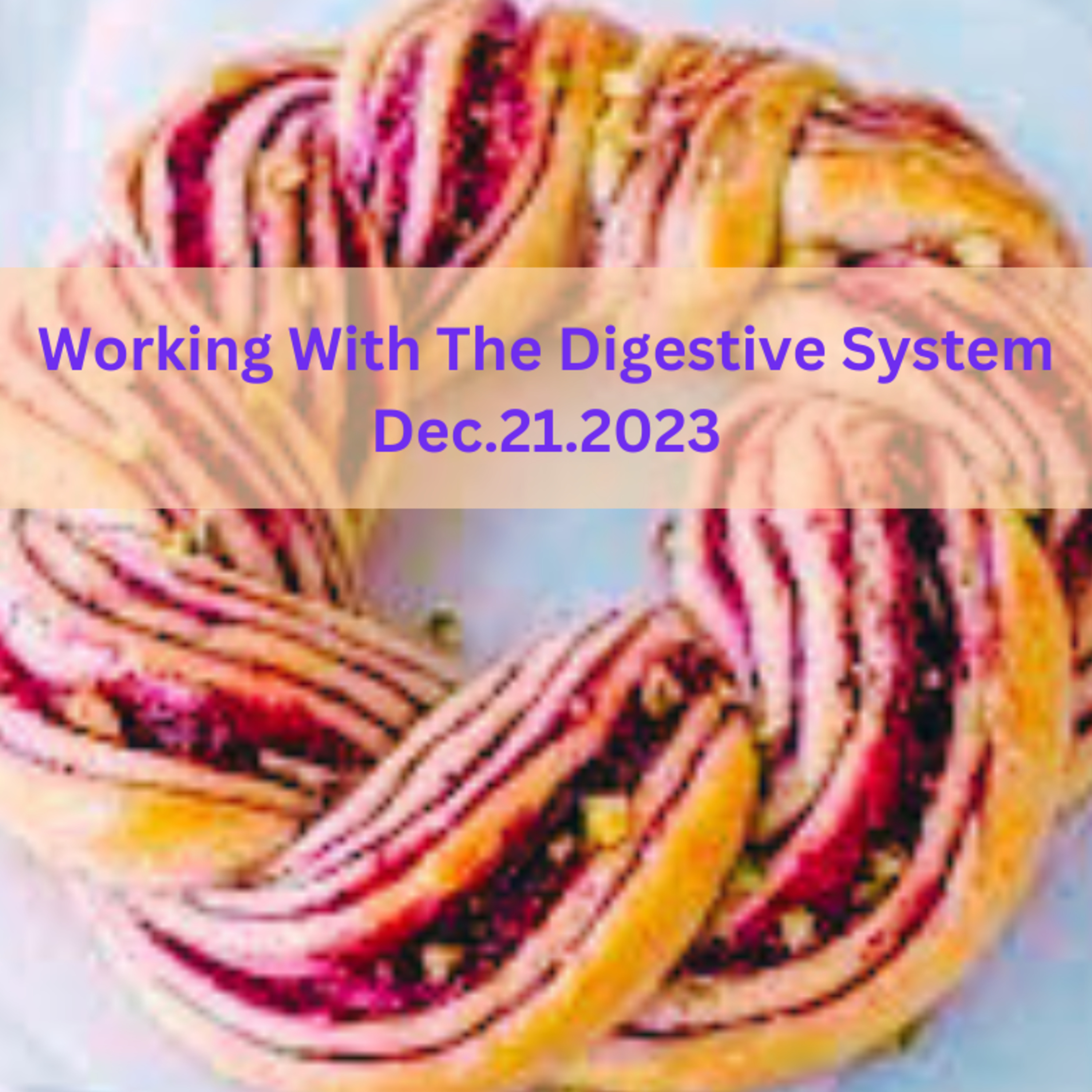 Digestion Part 3 Dec212023 episode artwork