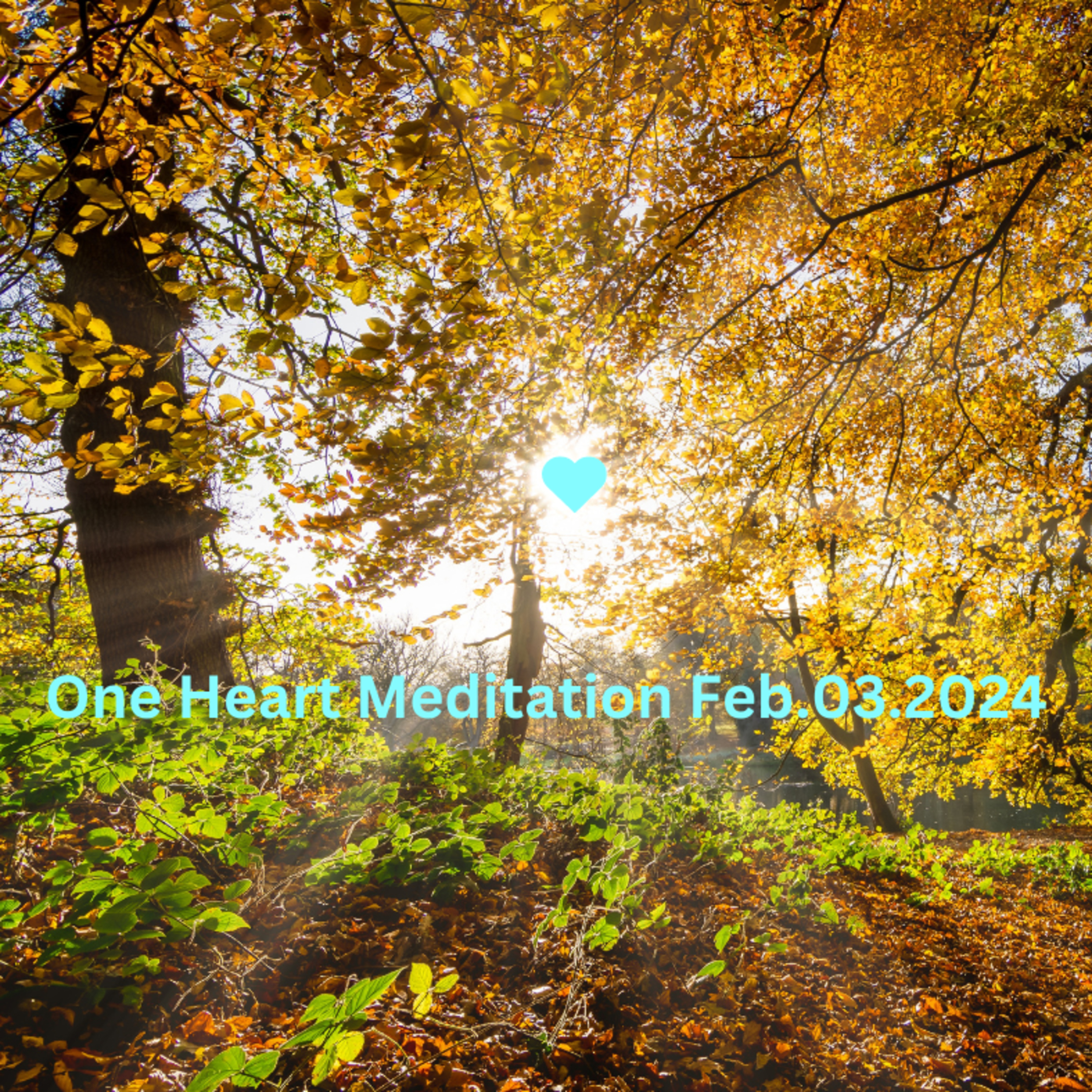 One Heart Meditation Feb032024 episode artwork