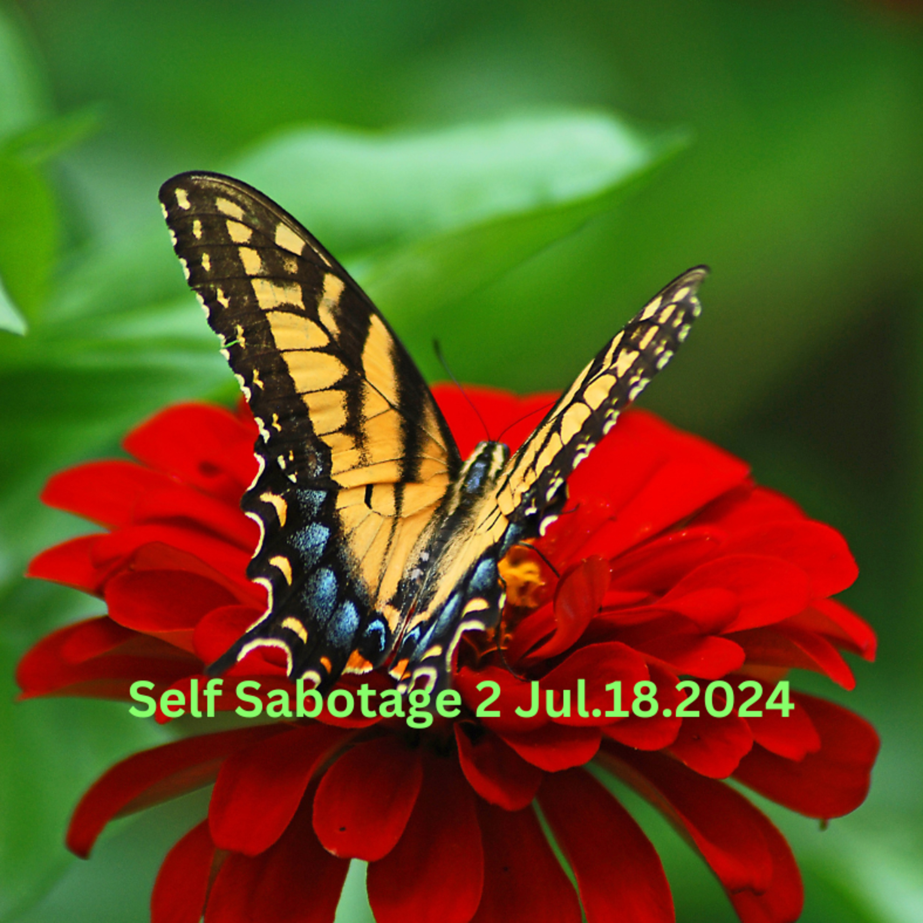 Self Sabotage 2C Jul182024 episode artwork