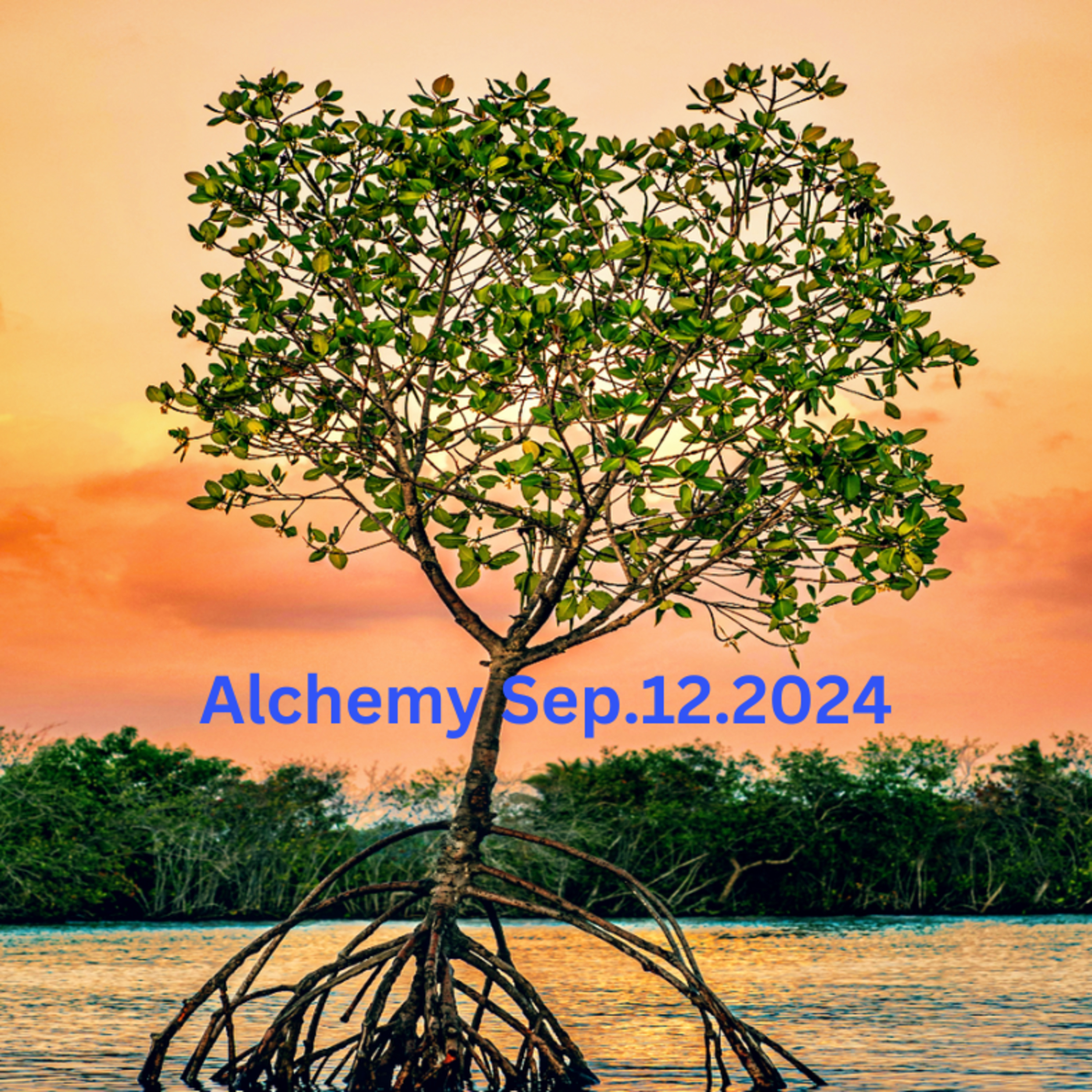 Alchemy - Past Life Clearing Med Sep122024 episode artwork