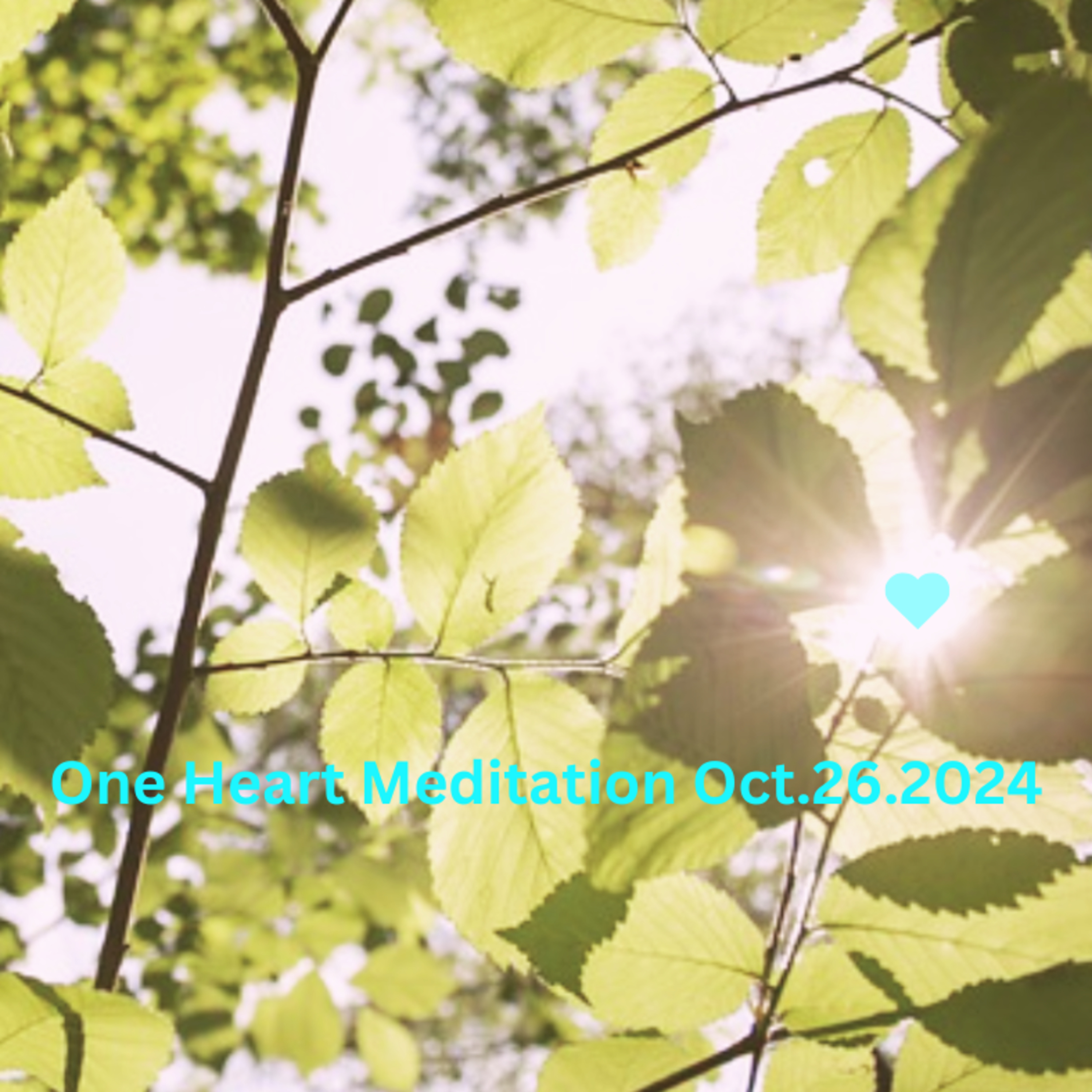 One Heart Meditation Oct262024 episode artwork