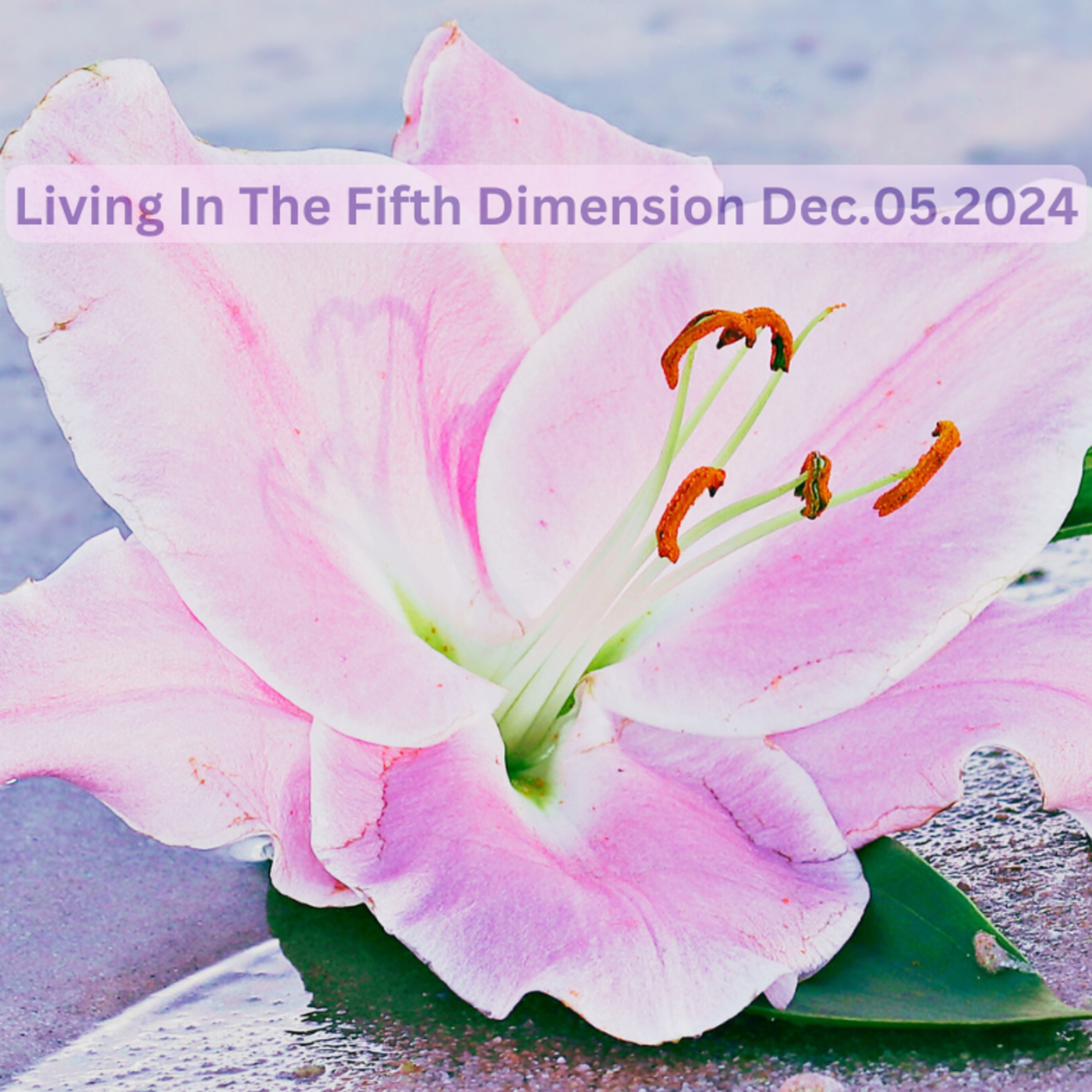 Living In The 5D Main Dec052024 episode artwork