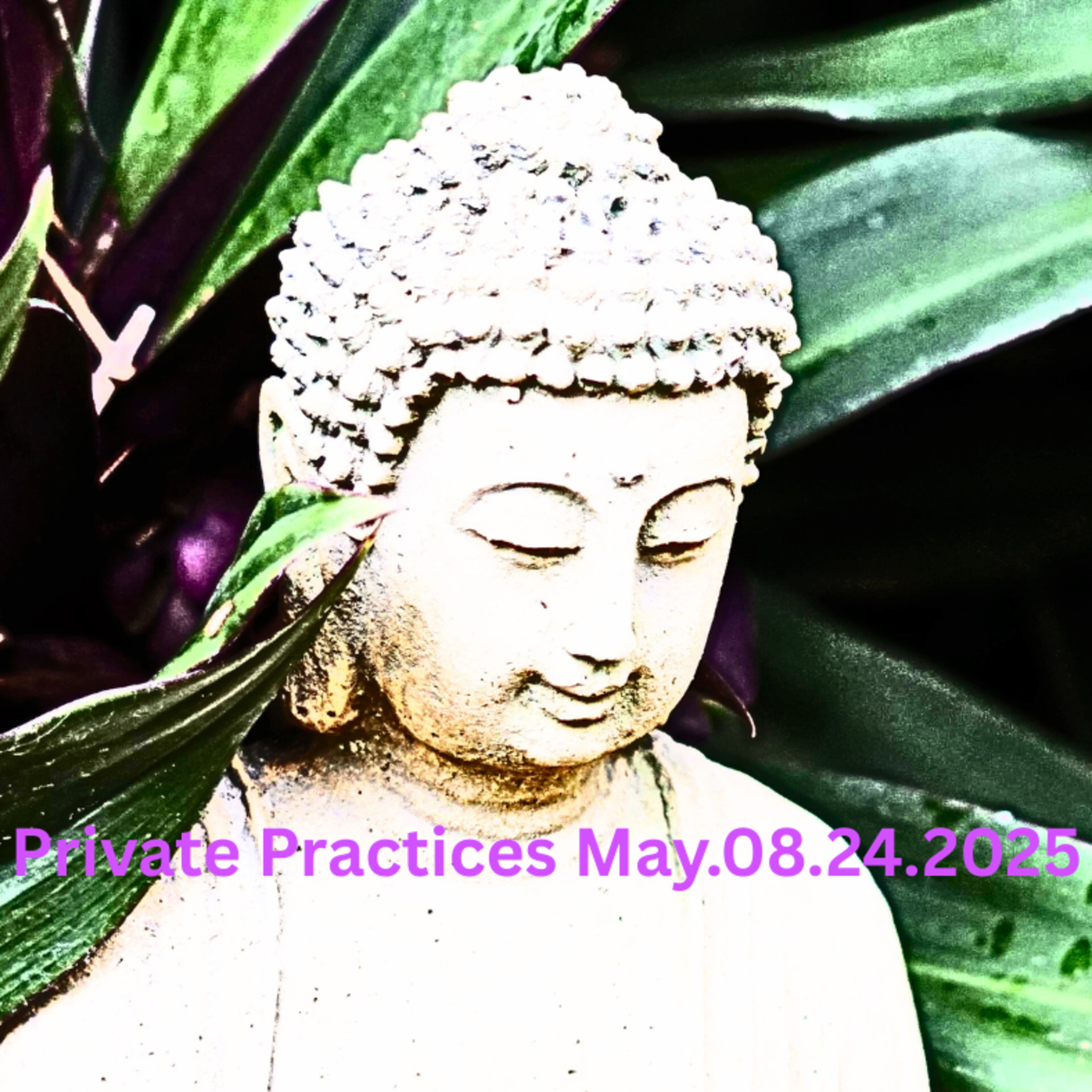 Private Practices B May082025 episode artwork