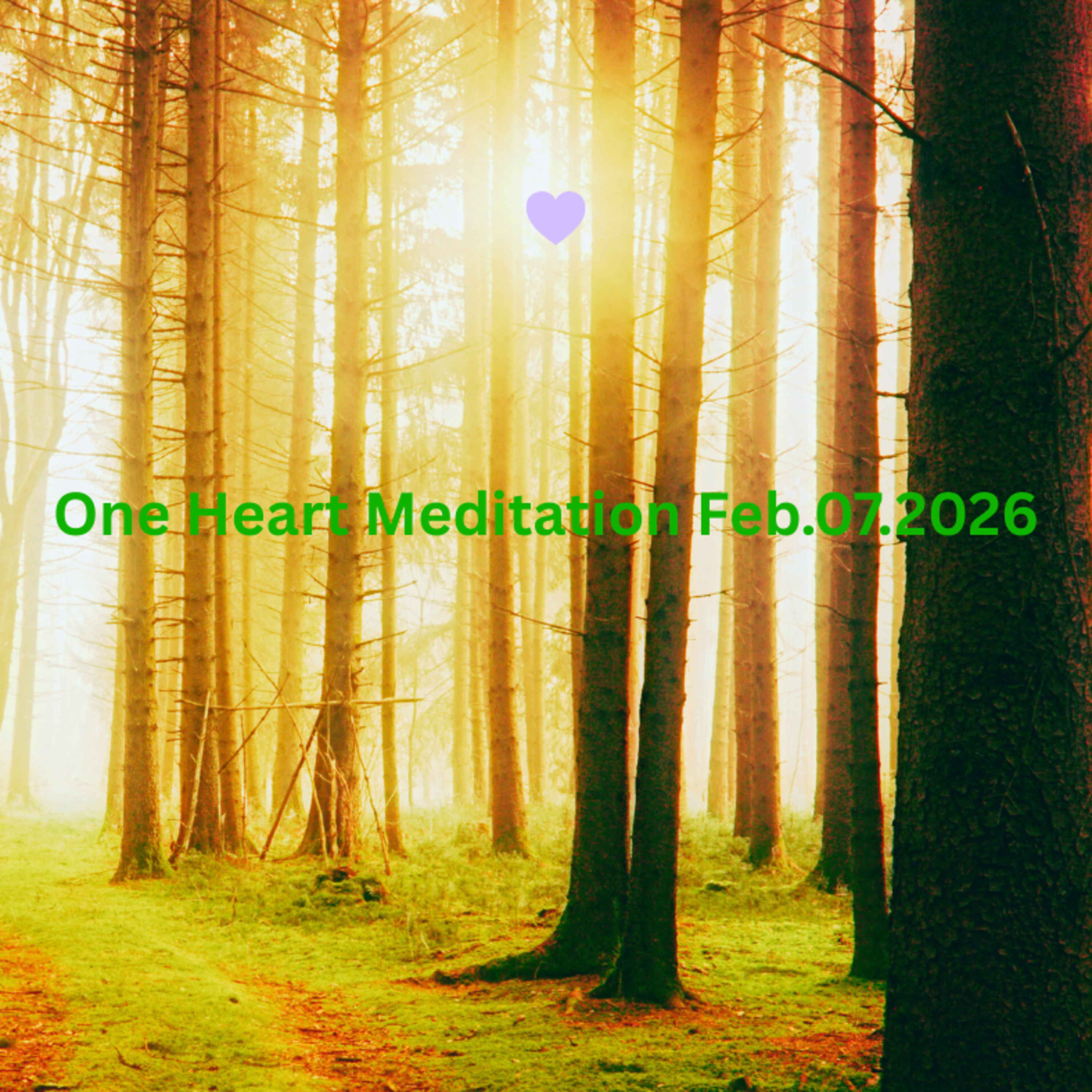 One Heart Meditation Feb072026