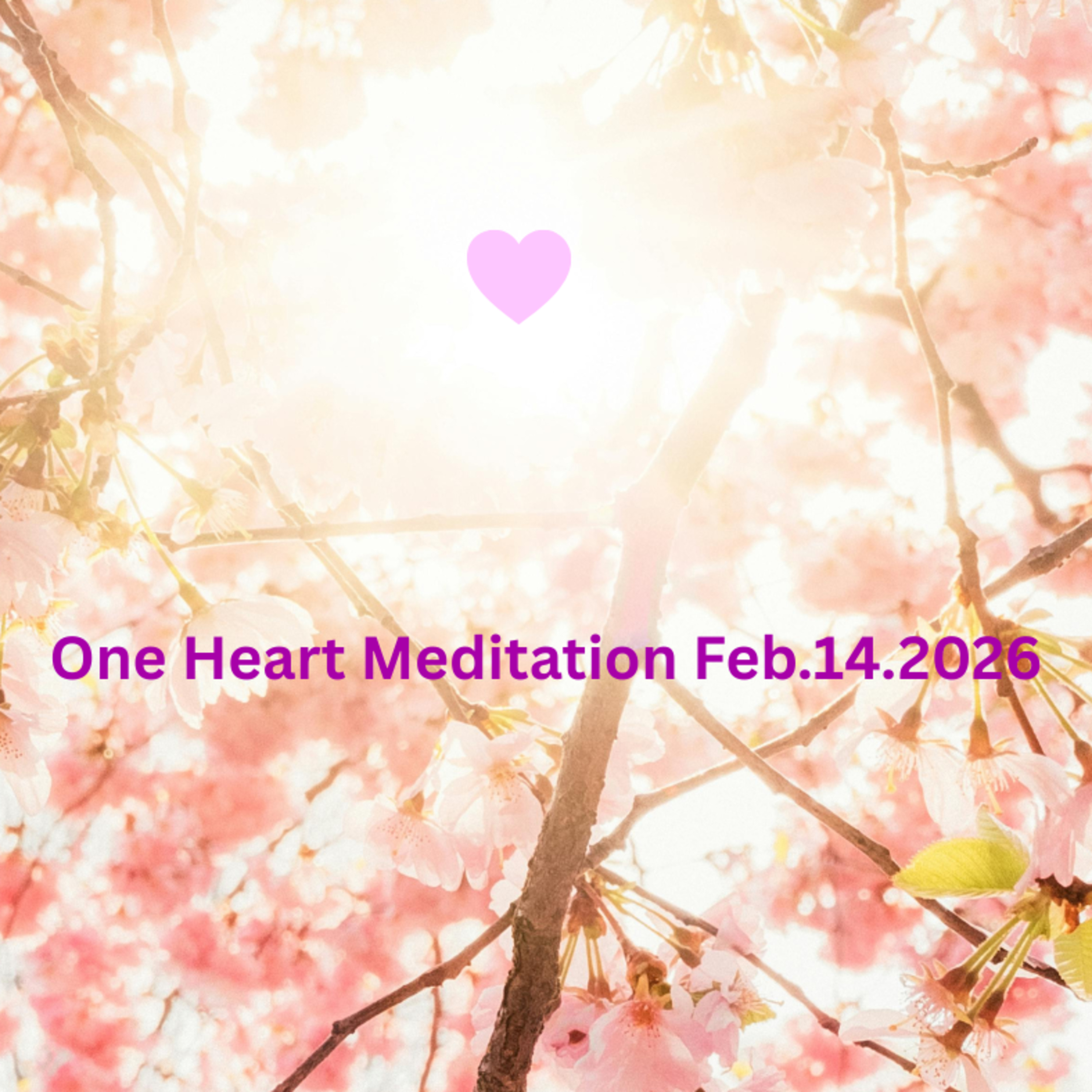 One Heart Meditation 20260214 episode artwork