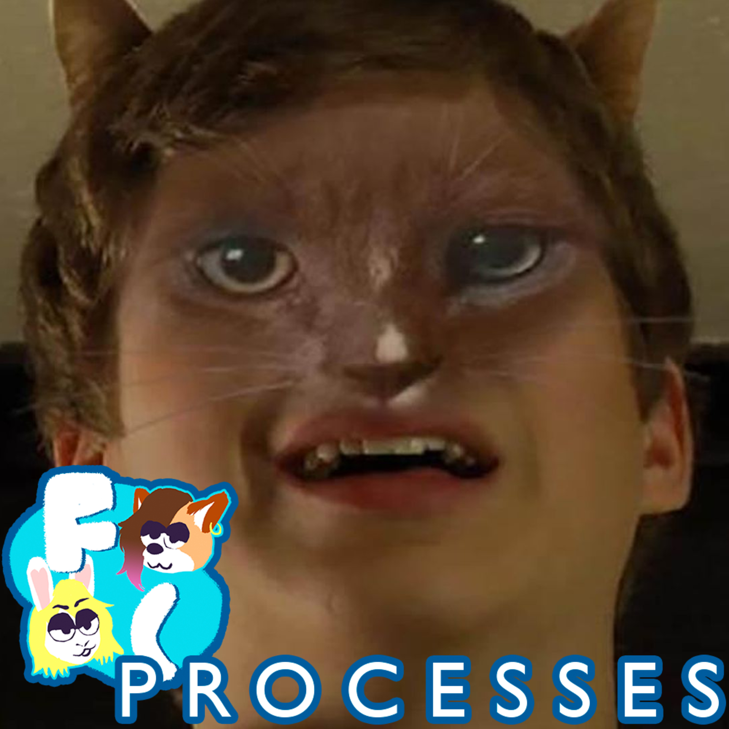 Cat Person | FILM CRITTERS PROCESSES