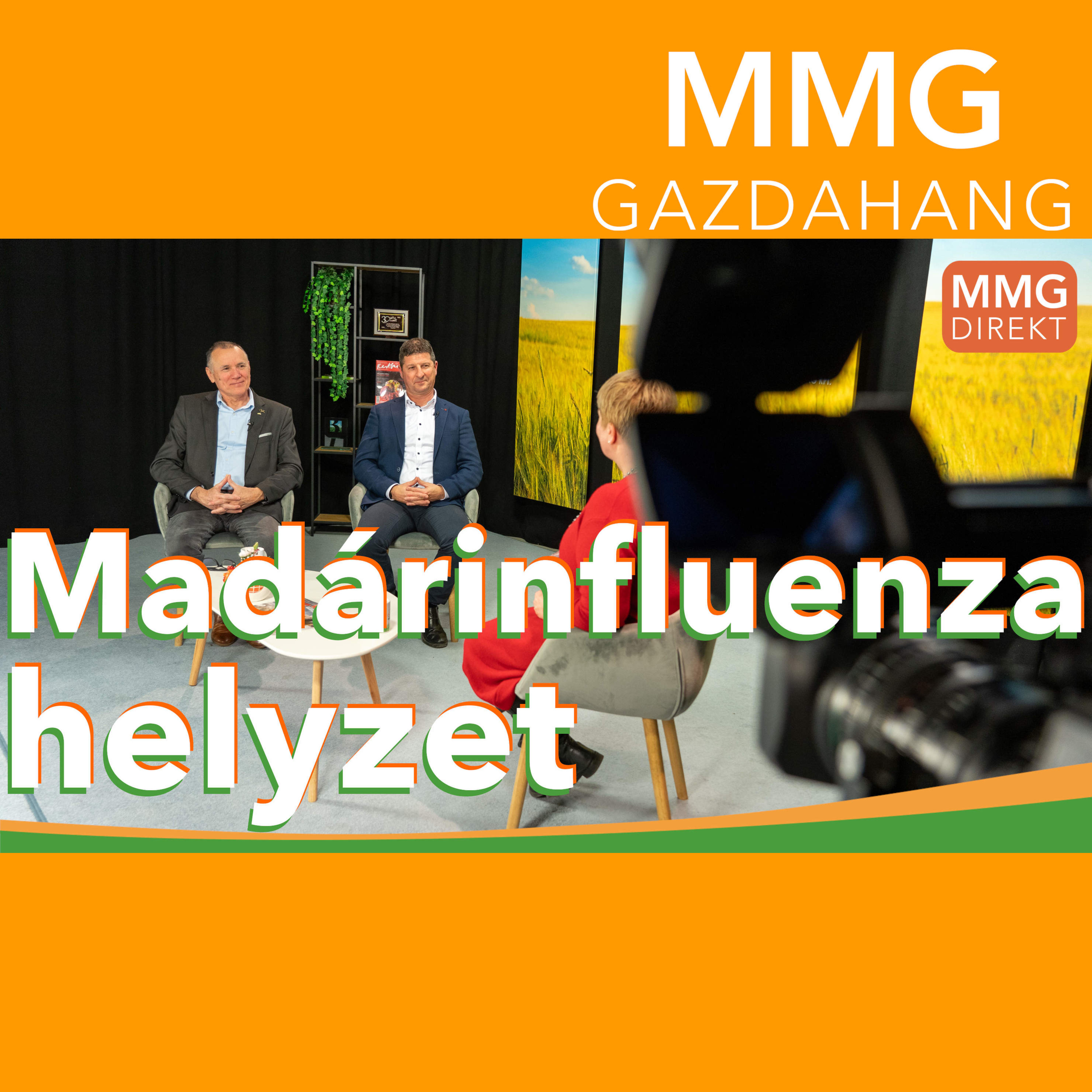 MMG - Gazdahang