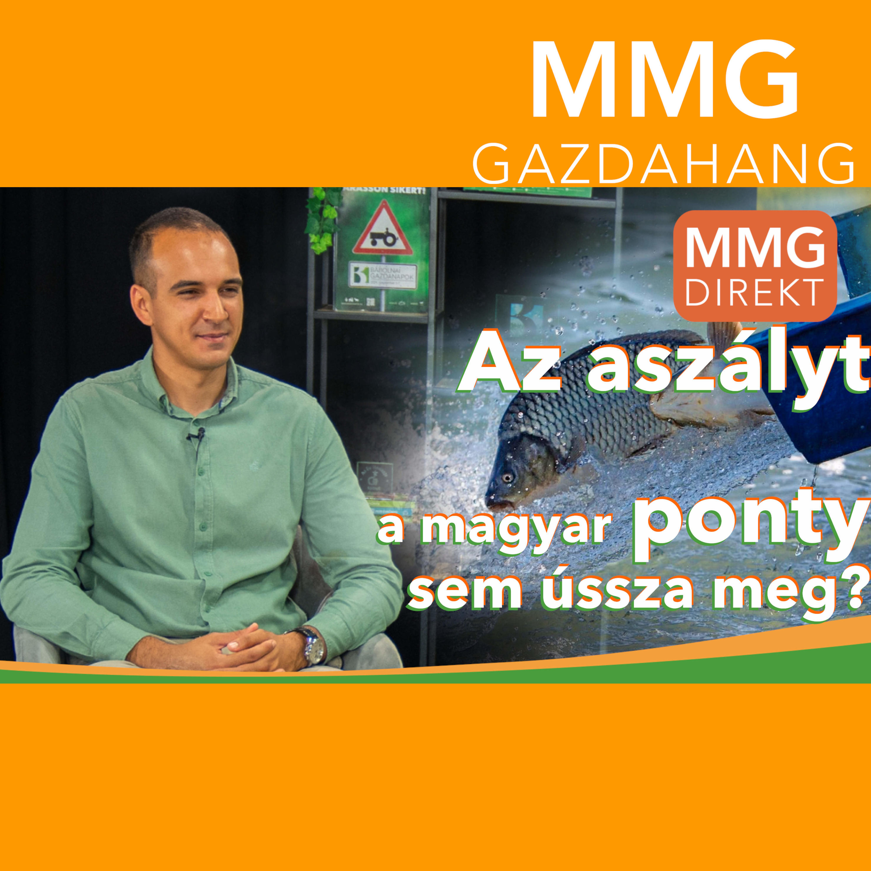 MMG - Gazdahang