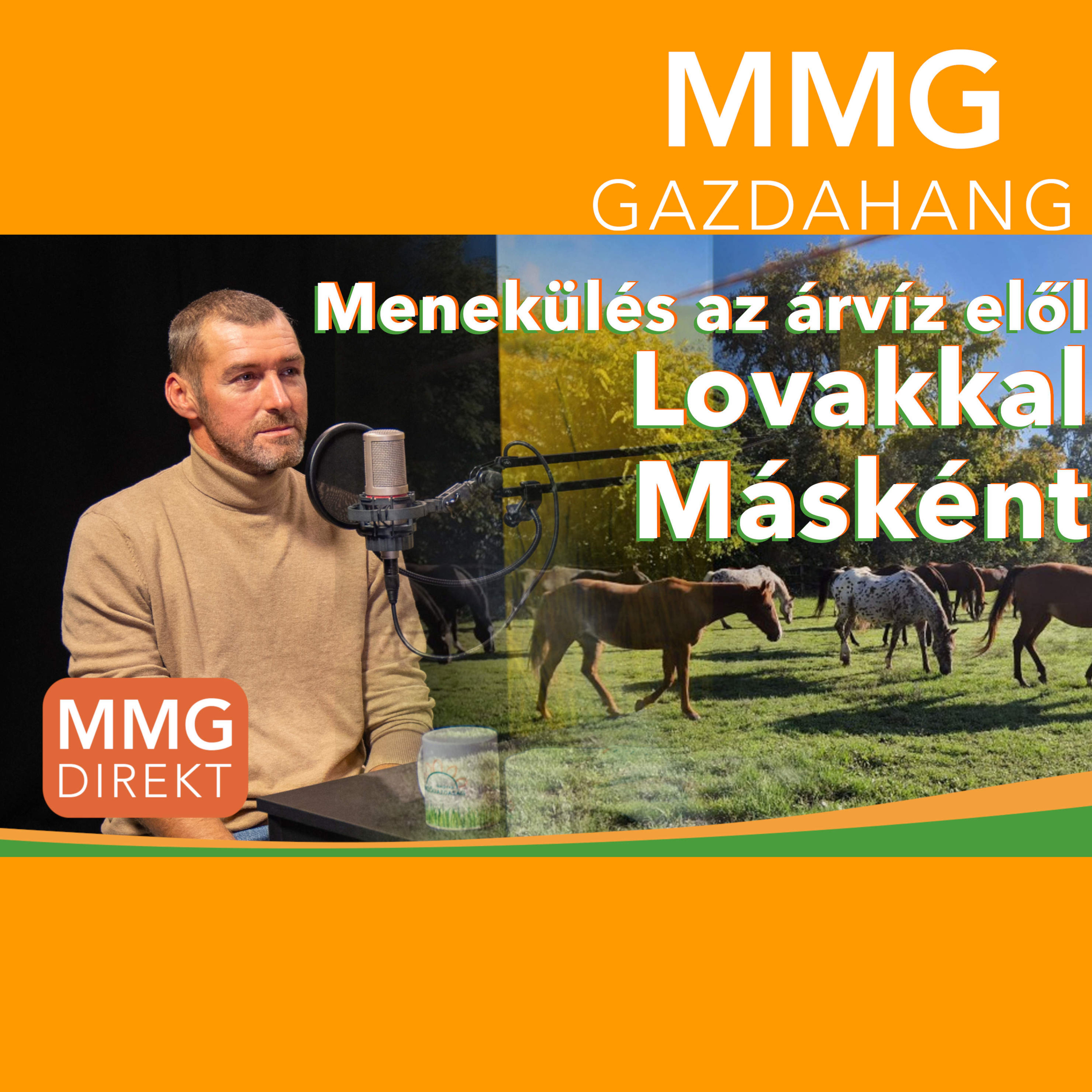 Menekülés az árvíz elől "Lovakkal Másként" | Halápi Roland | Halápi Ranch, alapító, tulajdonos (151)