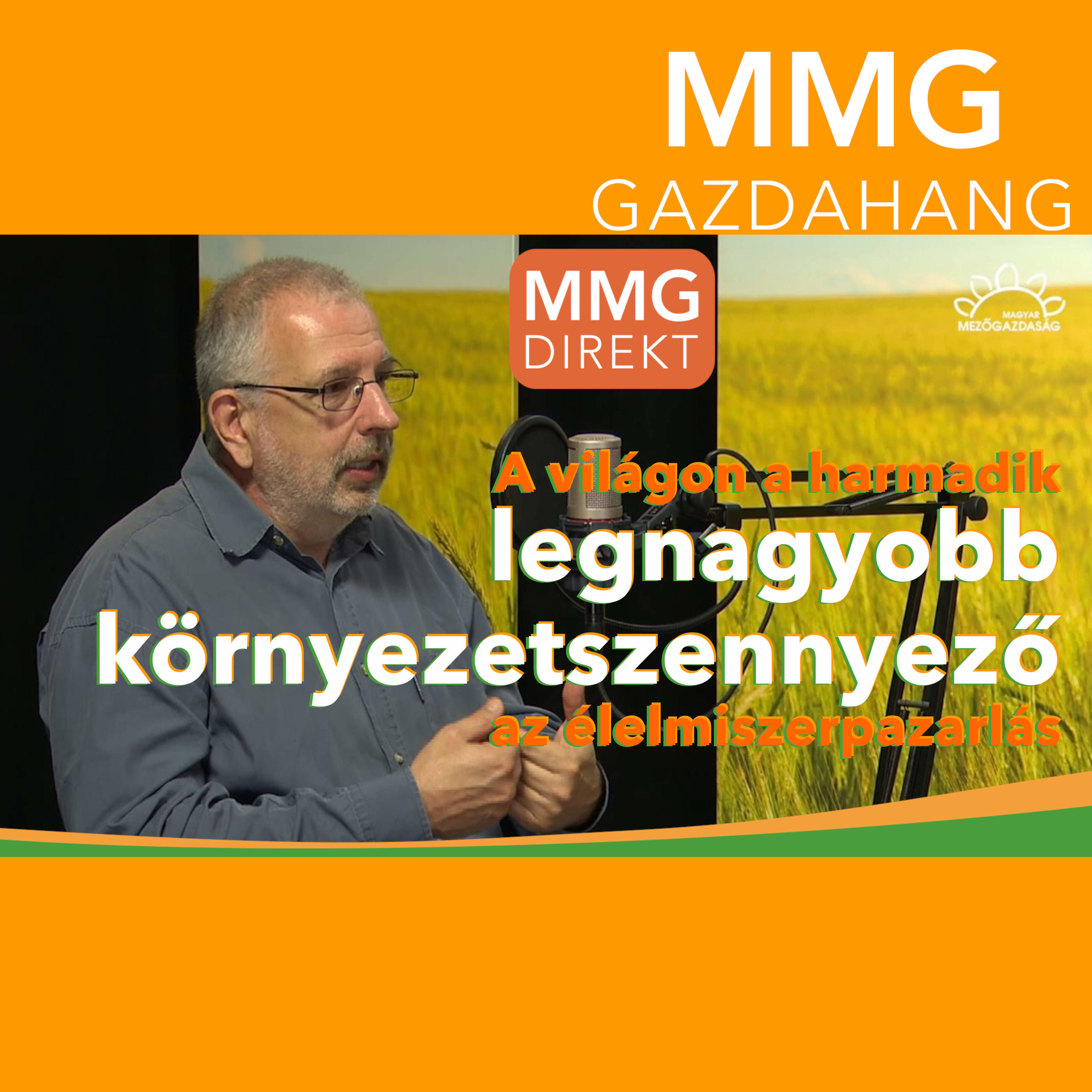 Sérült, lejáró, felesleges élelmiszer? - Segít a rászorulóknak | Cseh Balázs, Magyar Élelmiszerbank Egyesület, elnök (153)