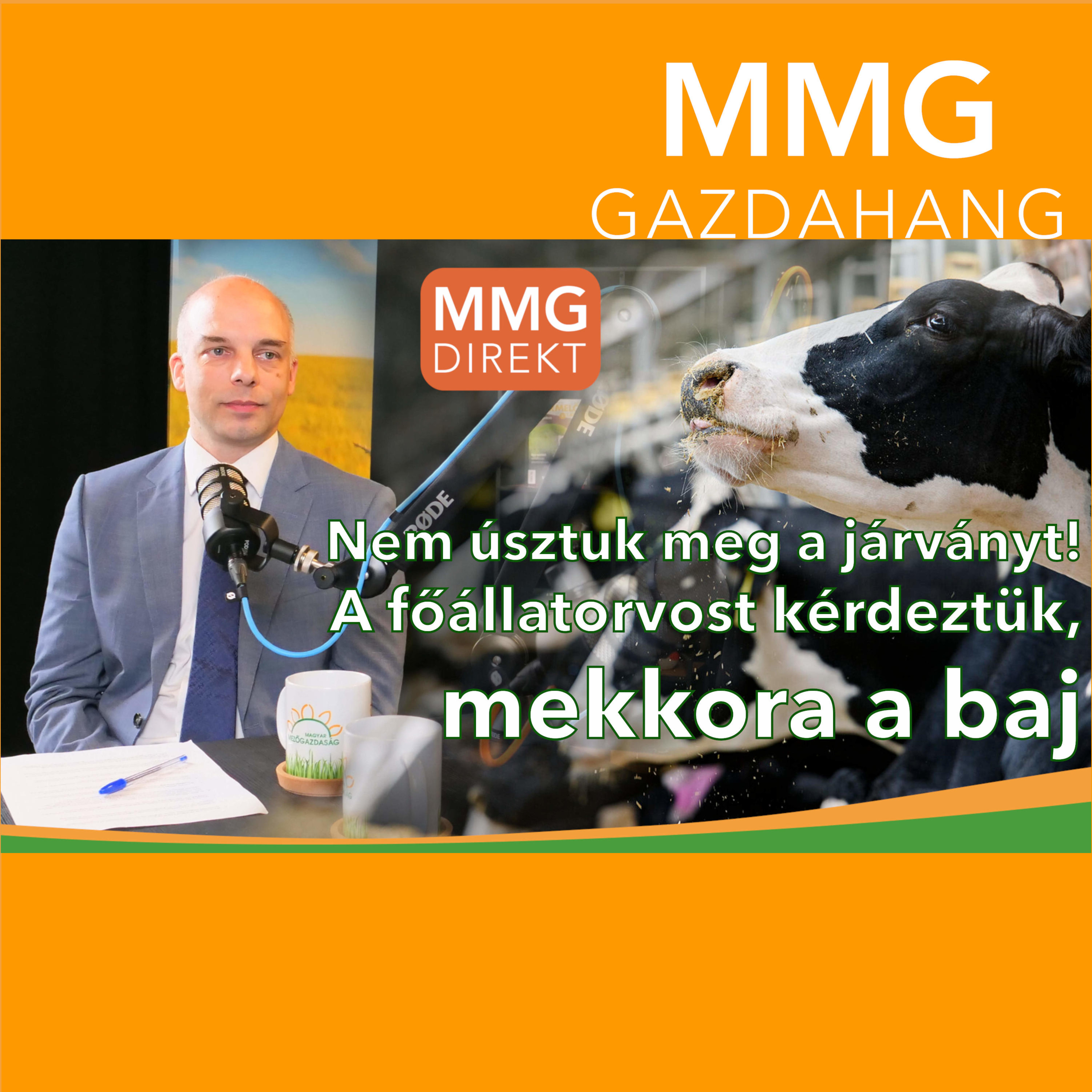 Nem úsztuk meg a járványt! A főállatorvost kérdeztük, mekkora a baj | Ragadós száj- és körömfájás (167)
