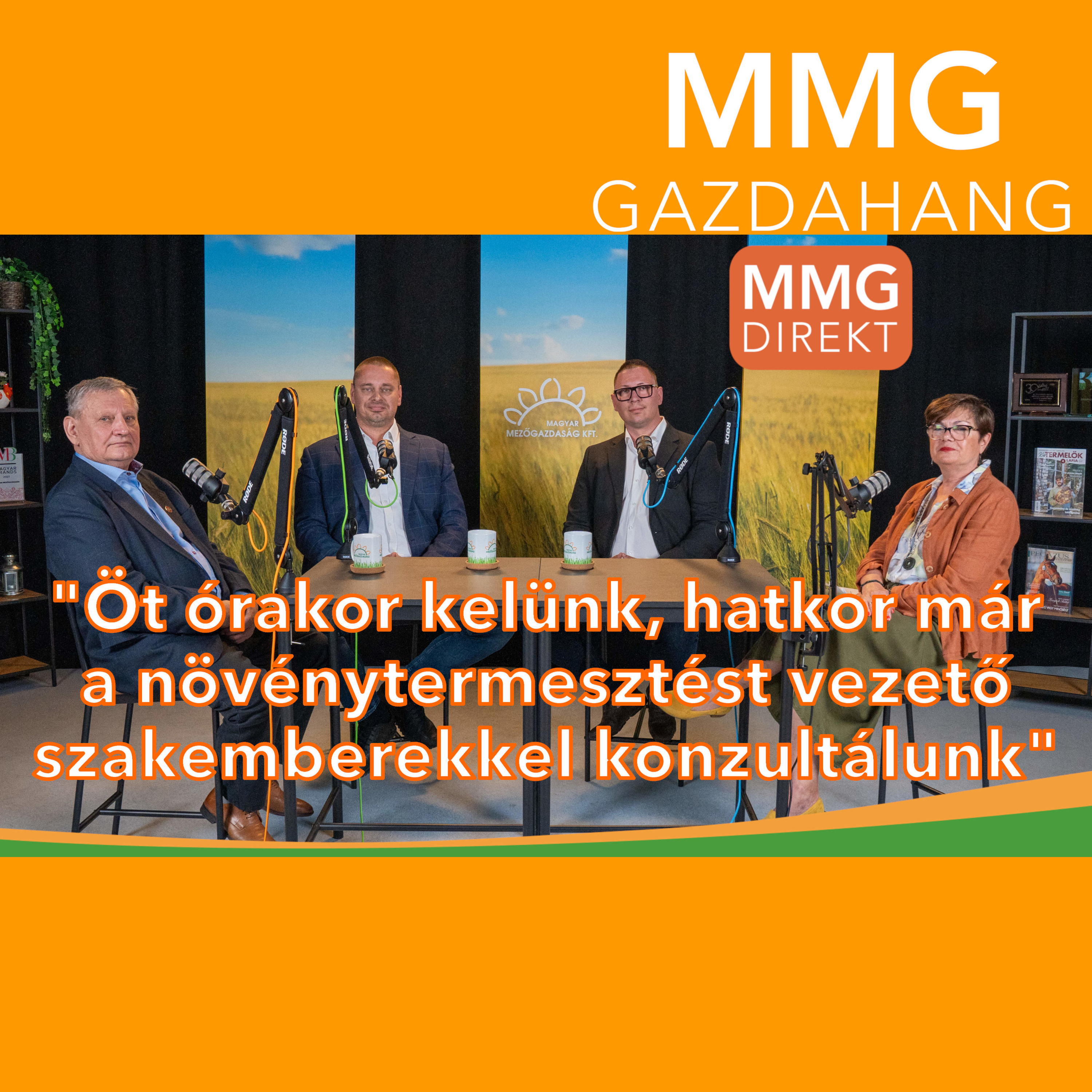 2000 hektár, 4000 szarvasmarha és 2000 anyajuh | Generációváltás a Nyakas Farmon (169)