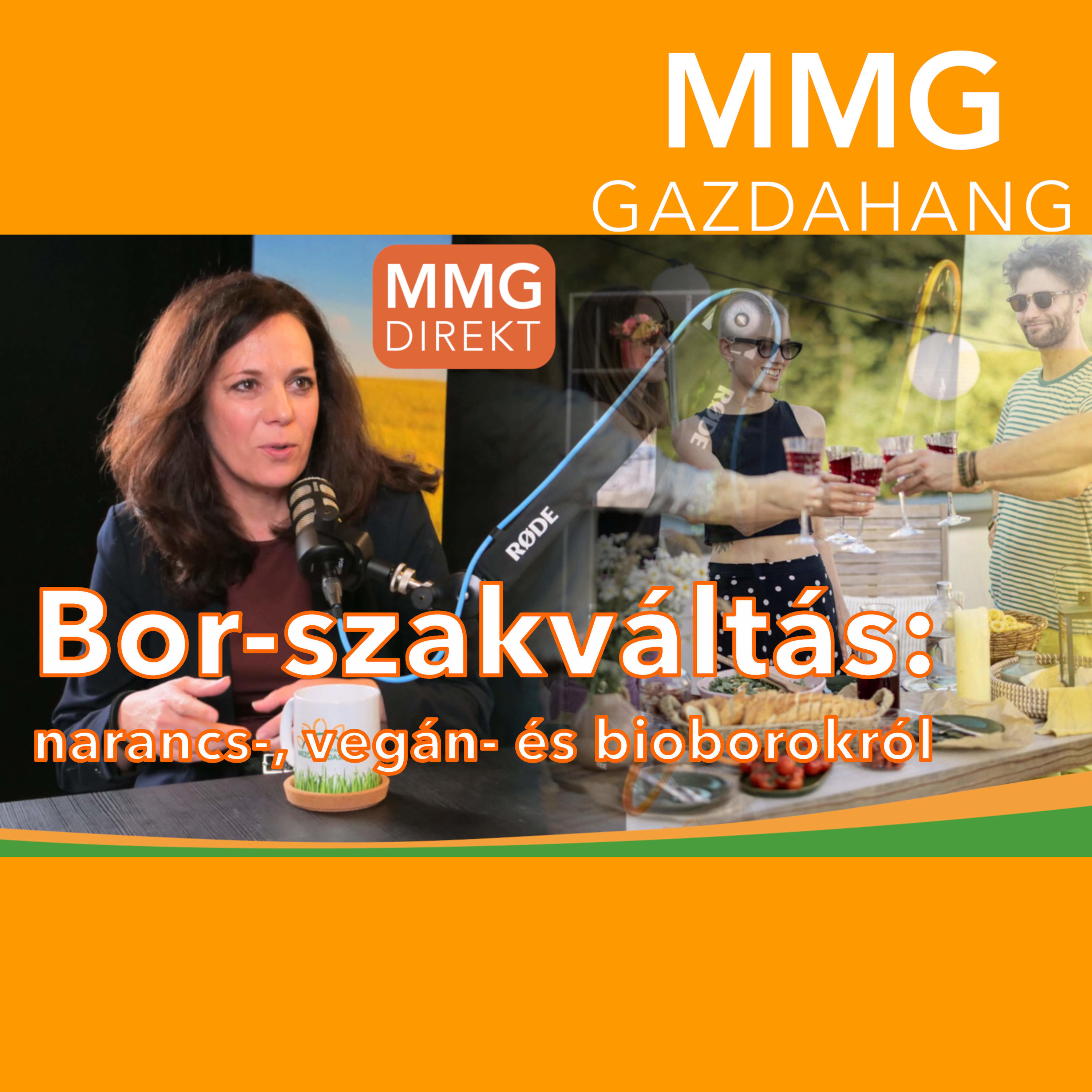 Narancsbor, vegán bor, alkoholmentes és alkoholcsökkentett borok, bioborok | Nyitrainé Sárdy Diána, a MATE Szőlészeti és Borászati Intézetének igazgatója (170)