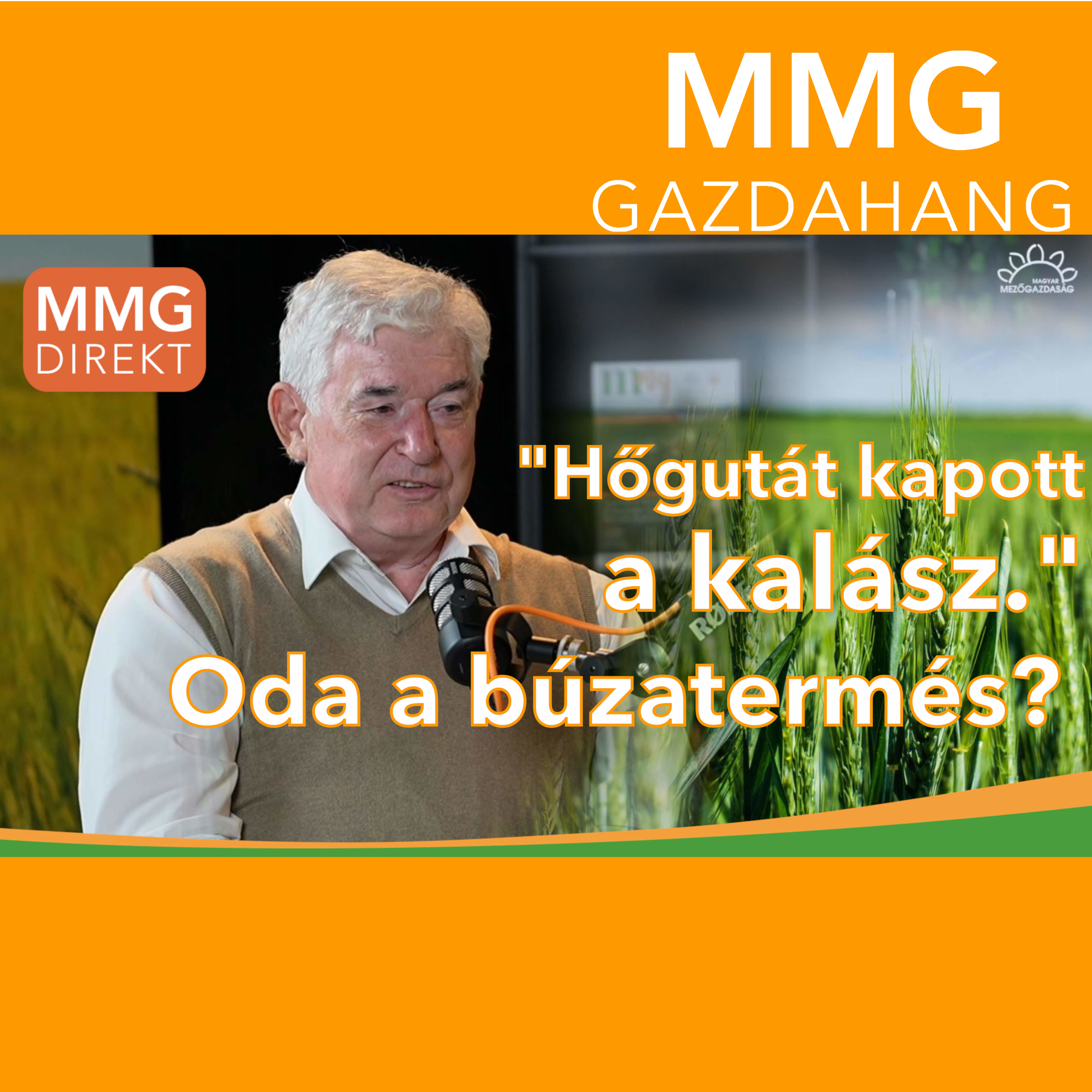 "Hőgutát kapott a kalász." Oda a búzatermés? | Dr. Lakatos Zoltán vezérigazgató, Hajdú Gabona Zrt. (175)