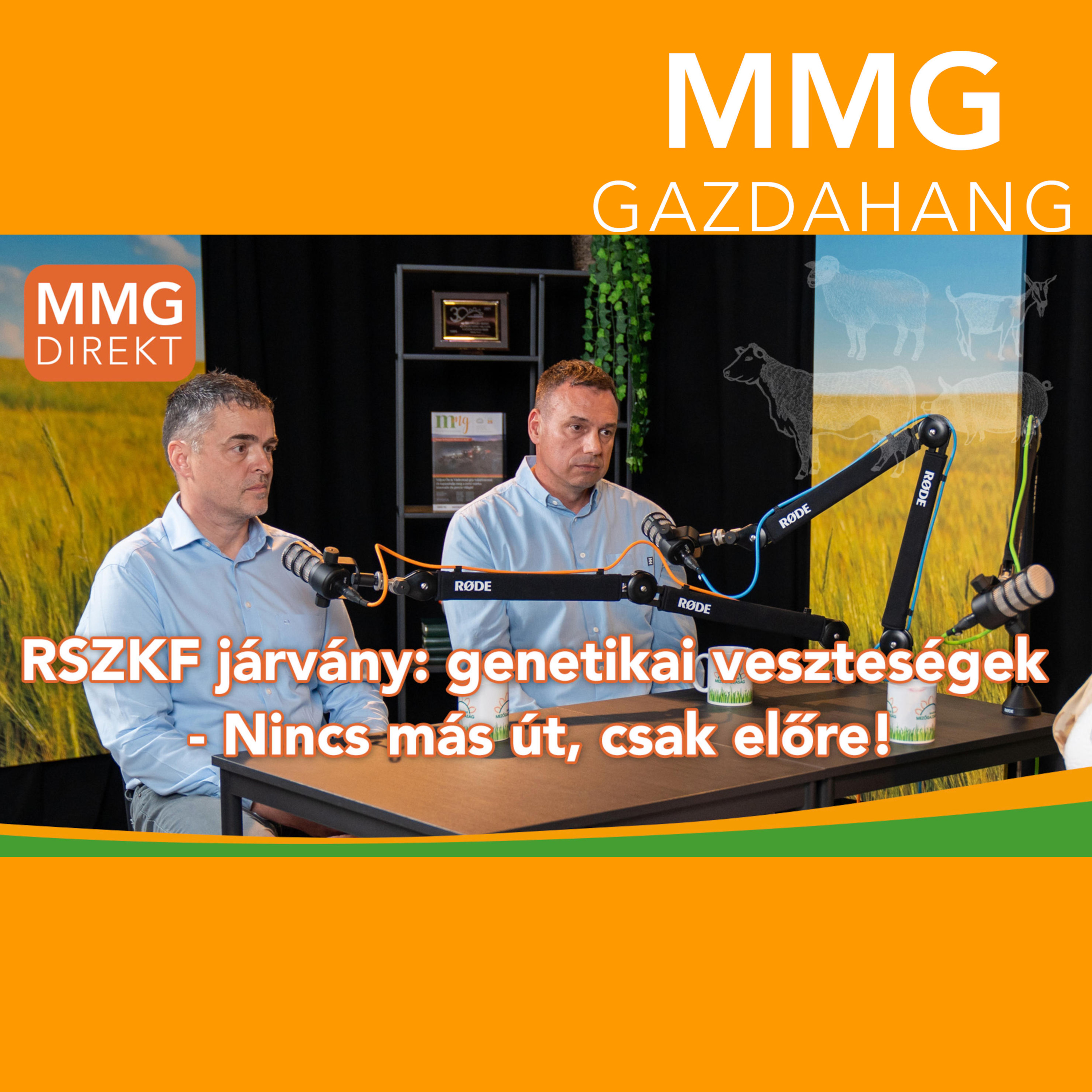 RSZKF járvány: genetikai veszteségek | Alföldi László, Holstein Genetika Kft. és Domokos Zsolt, Dunakiliti Agrár Zrt. (177)