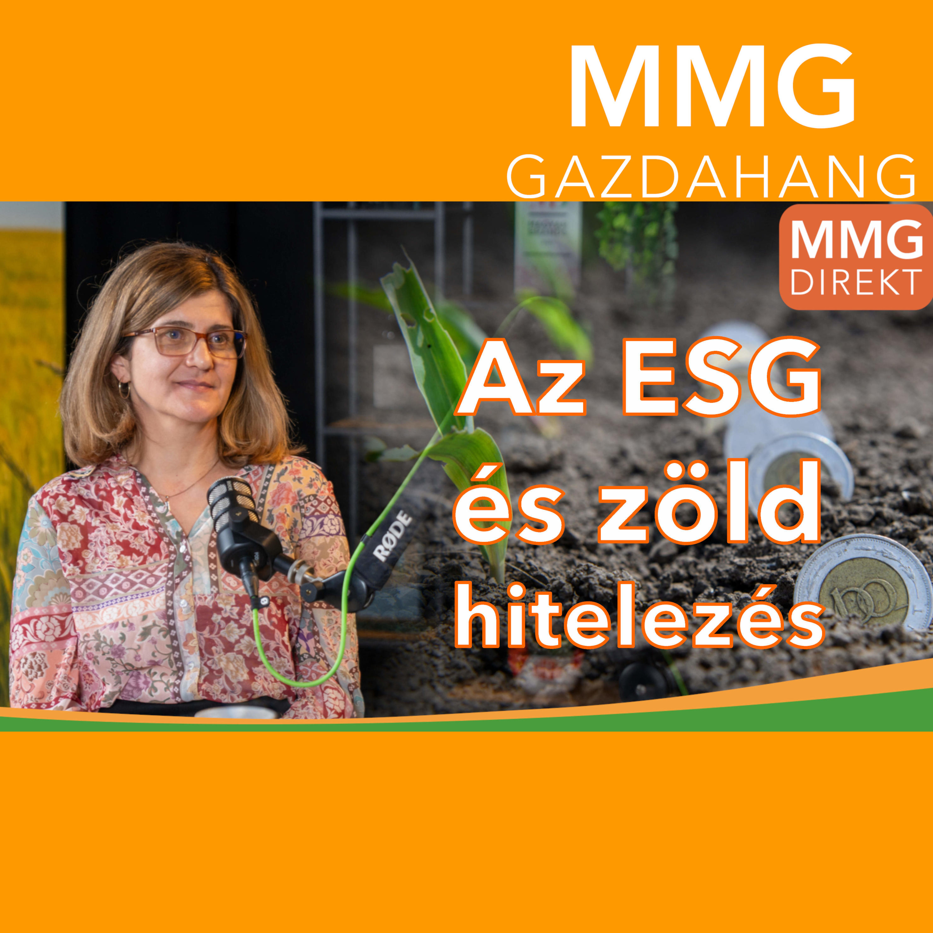 Az ESG és zöld hitelezés | Dr. Lámfalusi Ibolya az Agrárközgazdasági Intézet szakértő munkatársa (188)