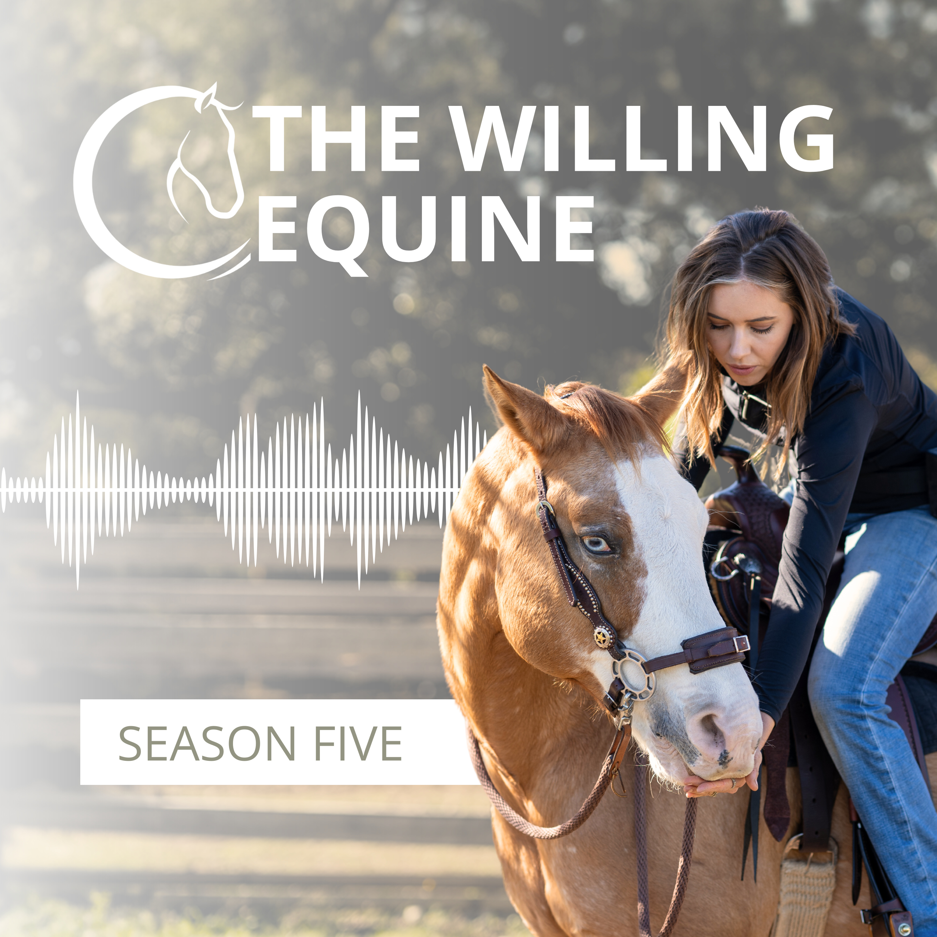 The Willing Equine