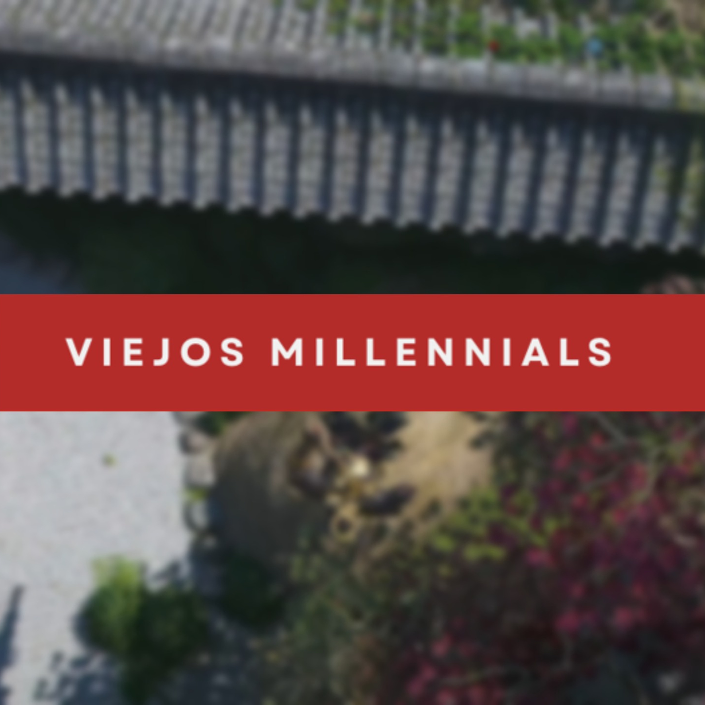 Viejos Millennials Episodio 210 - "El tipo revienta la paja" episode artwork