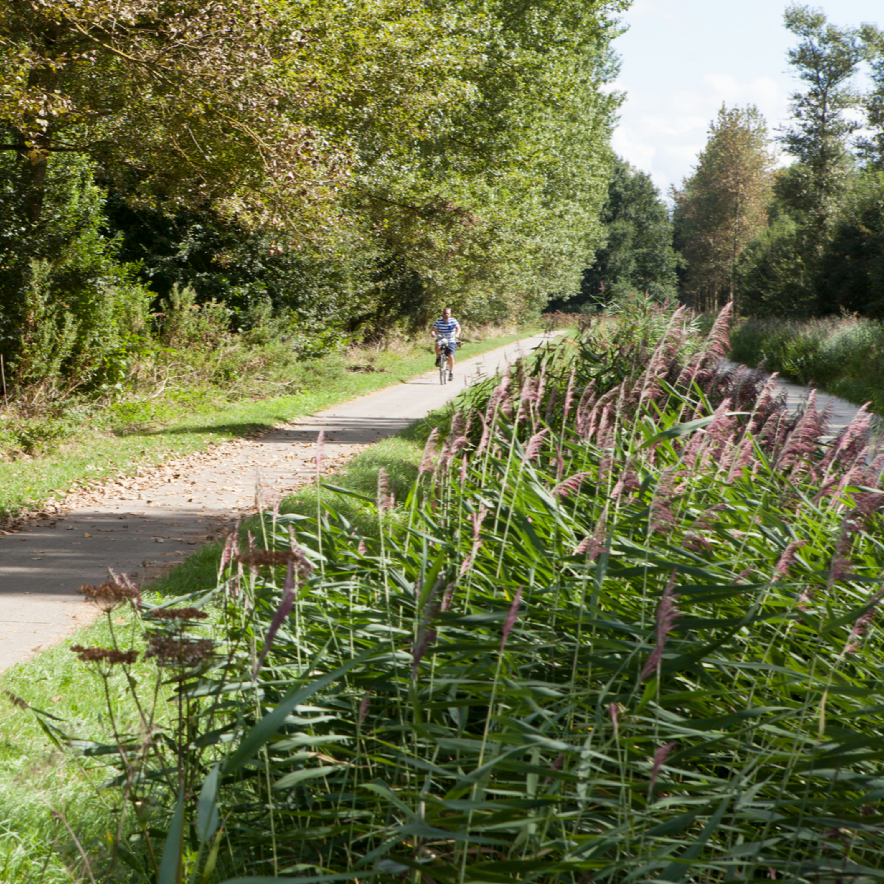 #123 Rick Spaans is klimaatburgemeester van Purmerend