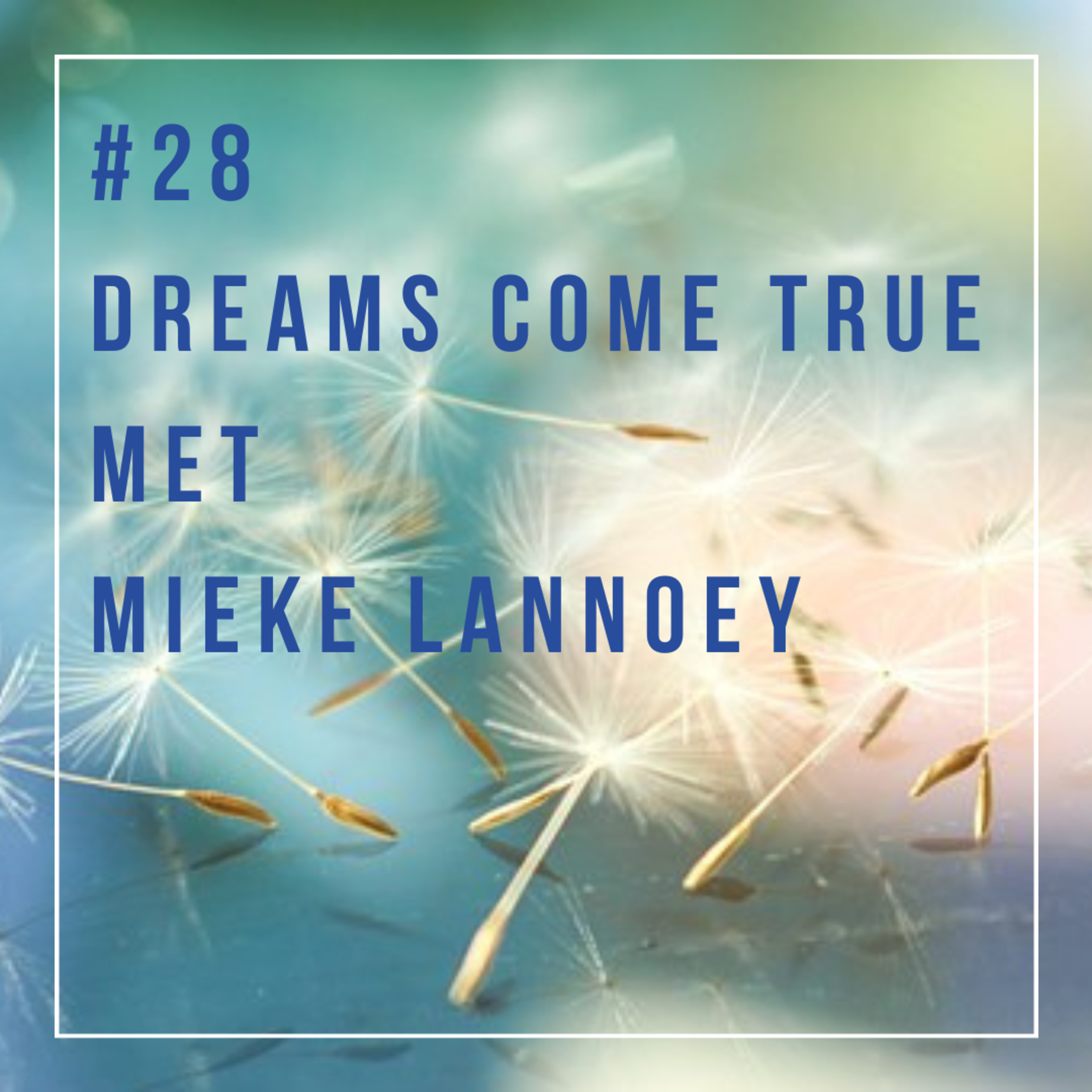 Dreams come true