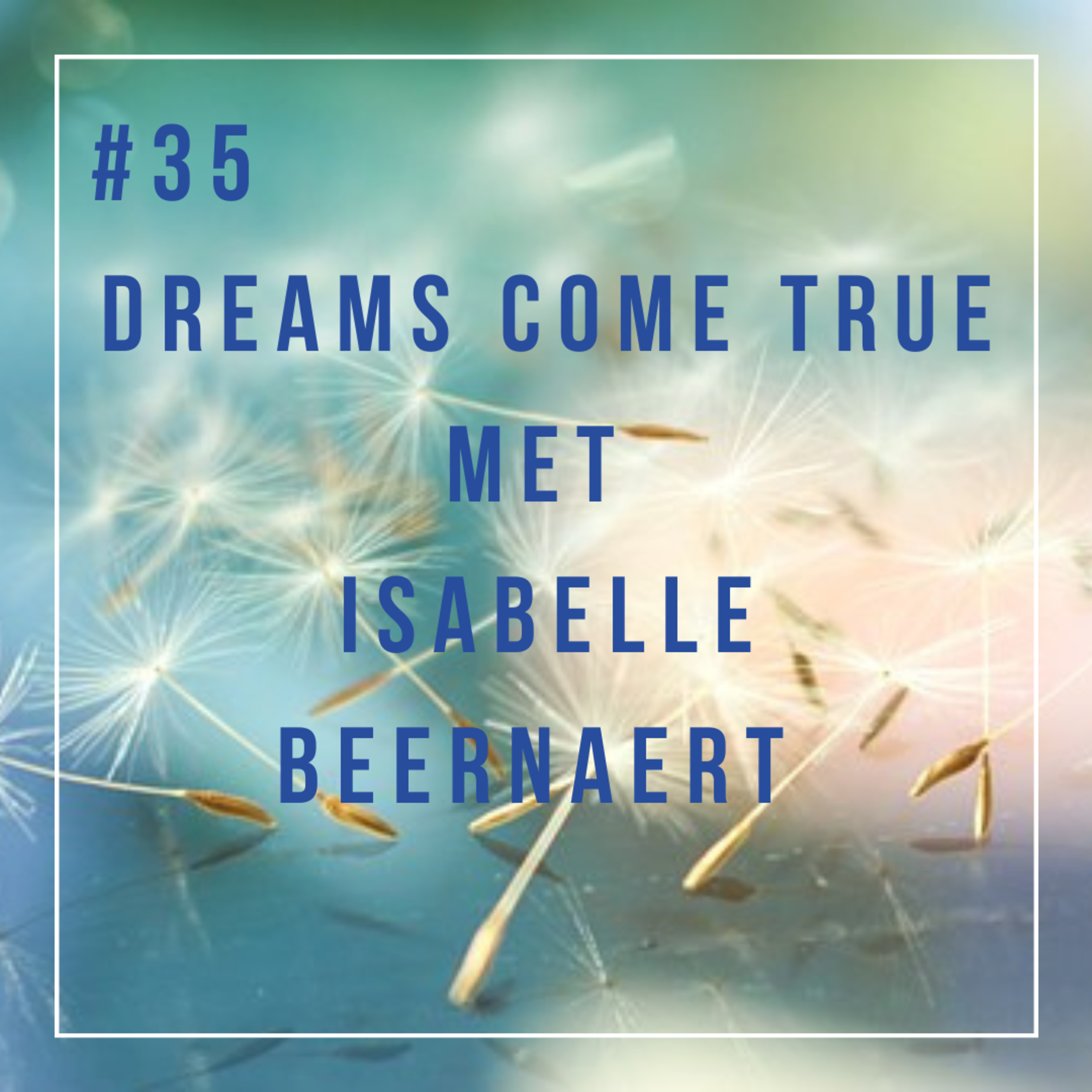 Dreams come true
