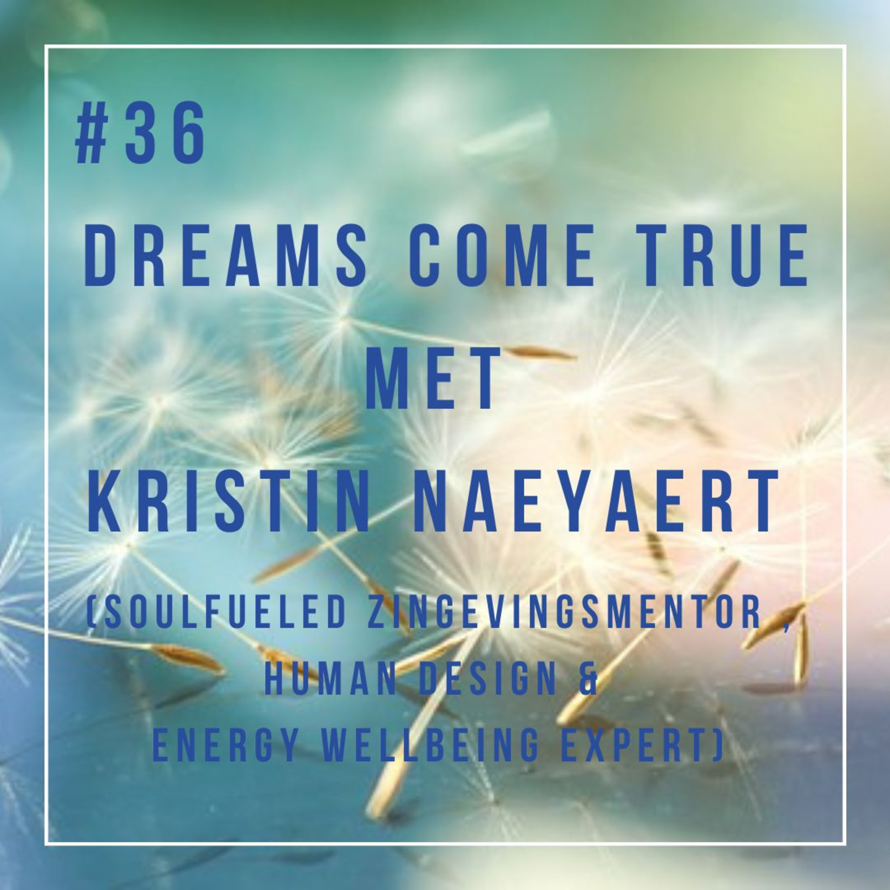 Dreams come true