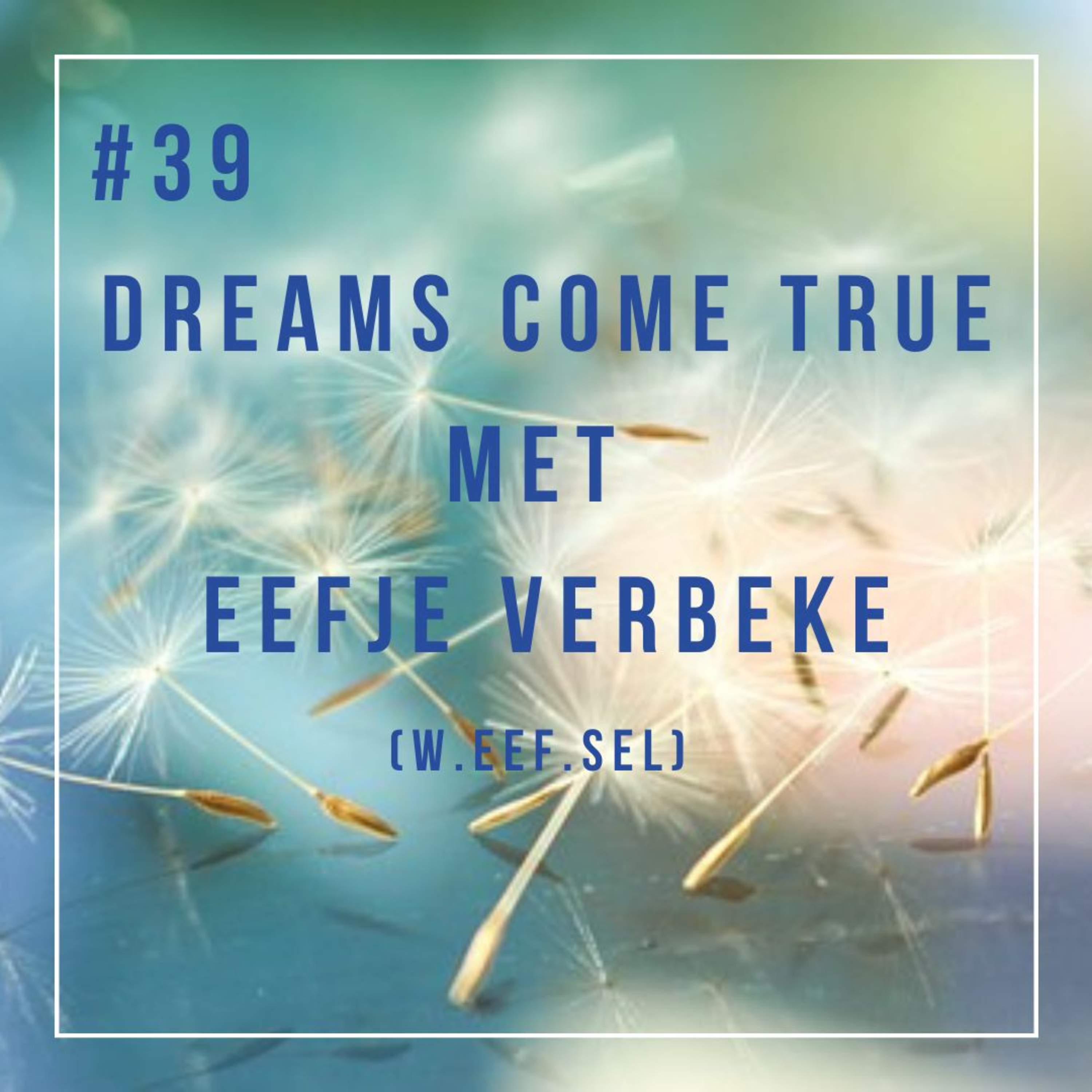 Dreams come true