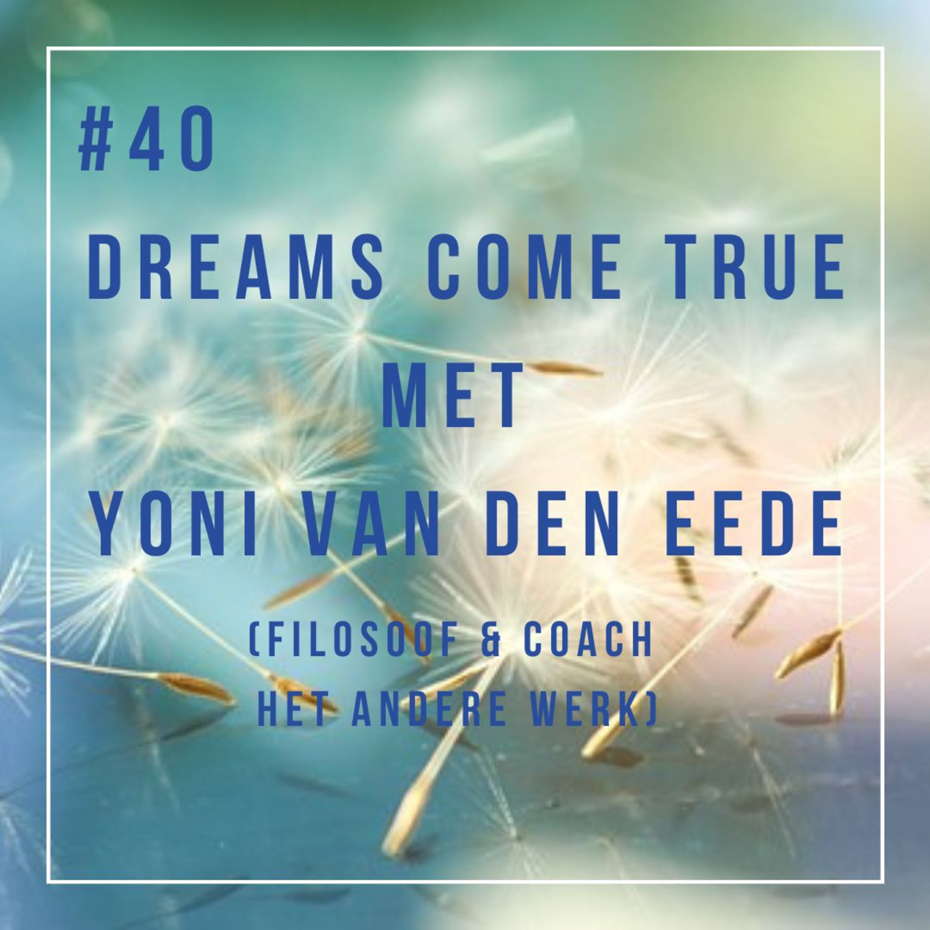 Dreams come true