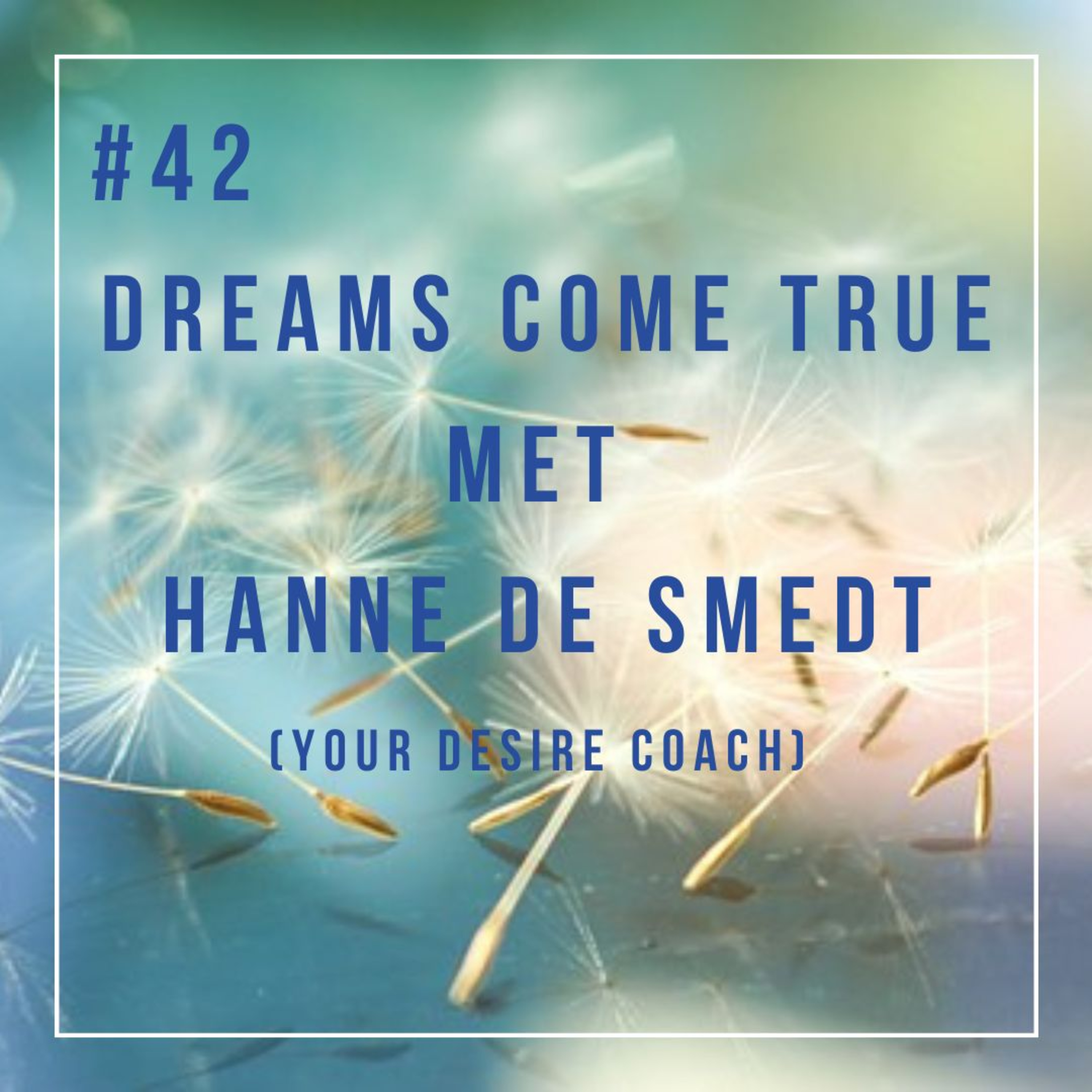 Dreams come true