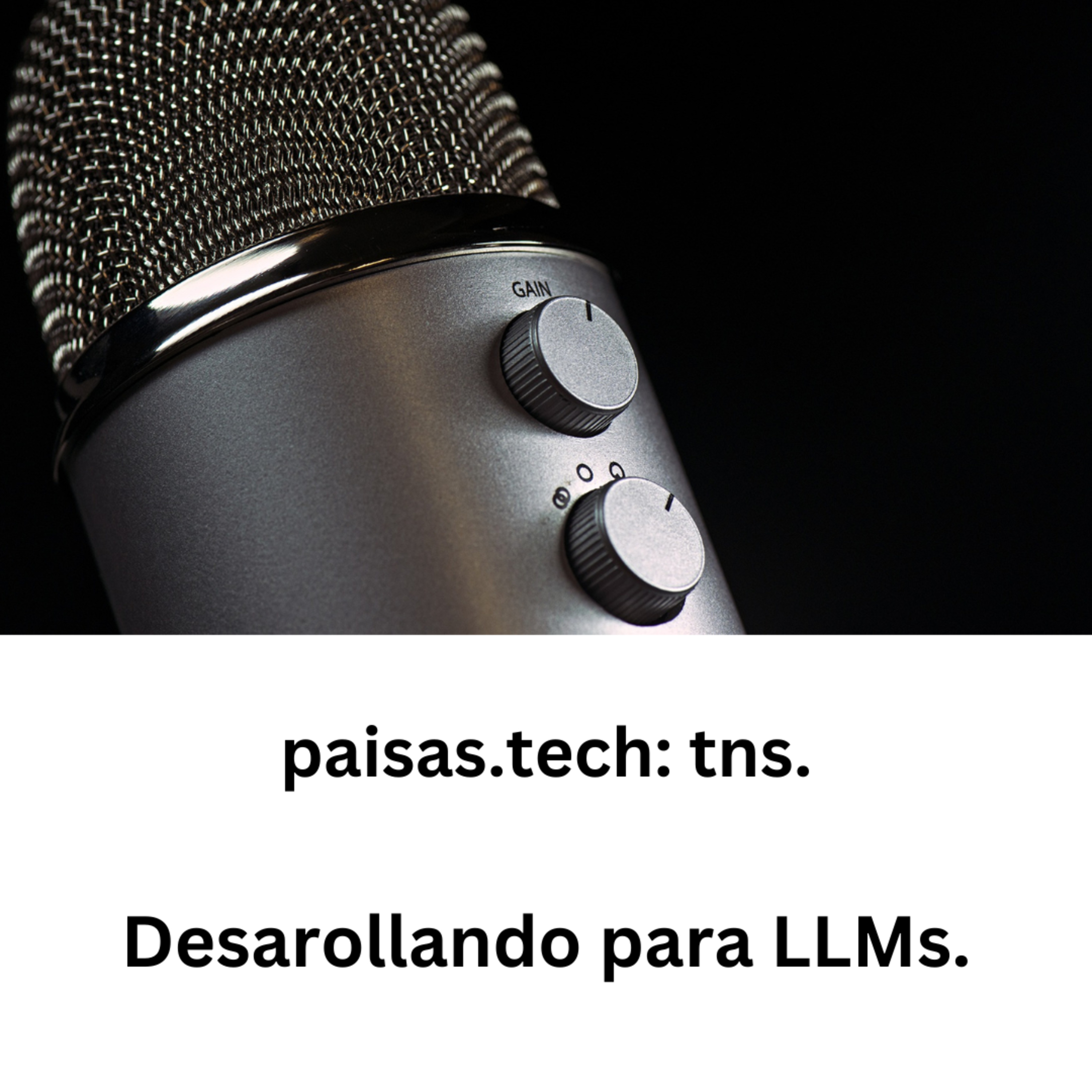 [tns] S2E6 - LLMs 3/5 - Desarollando para LLMs