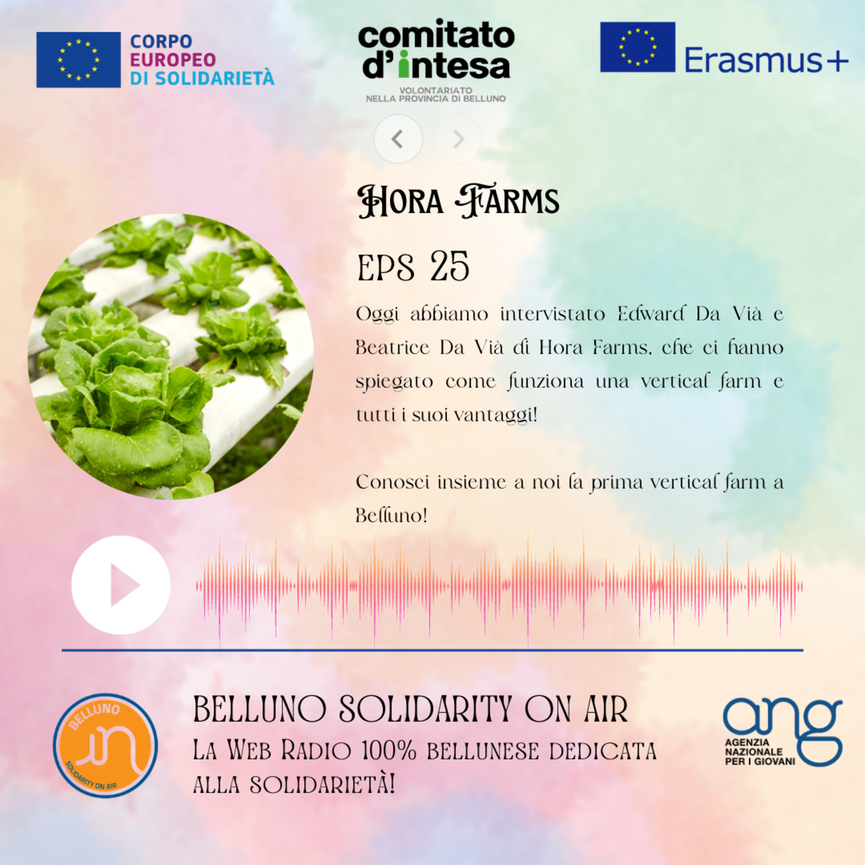 10 minutes of Interculturality - Hora Farms - Ep. 25 episode artwork
