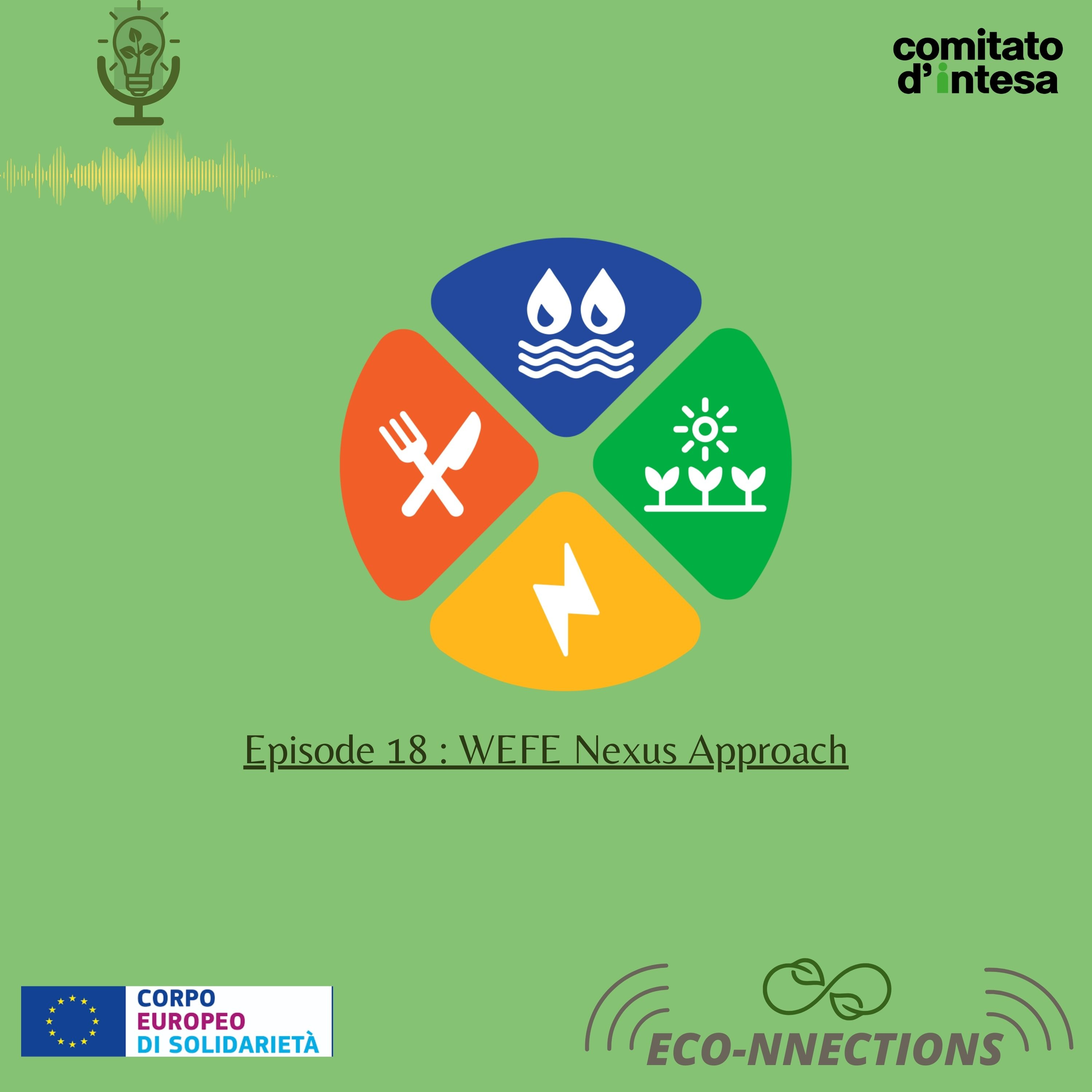 ECO-NNECTIONS I Ep. 18: WEFE Nexus approach episode artwork