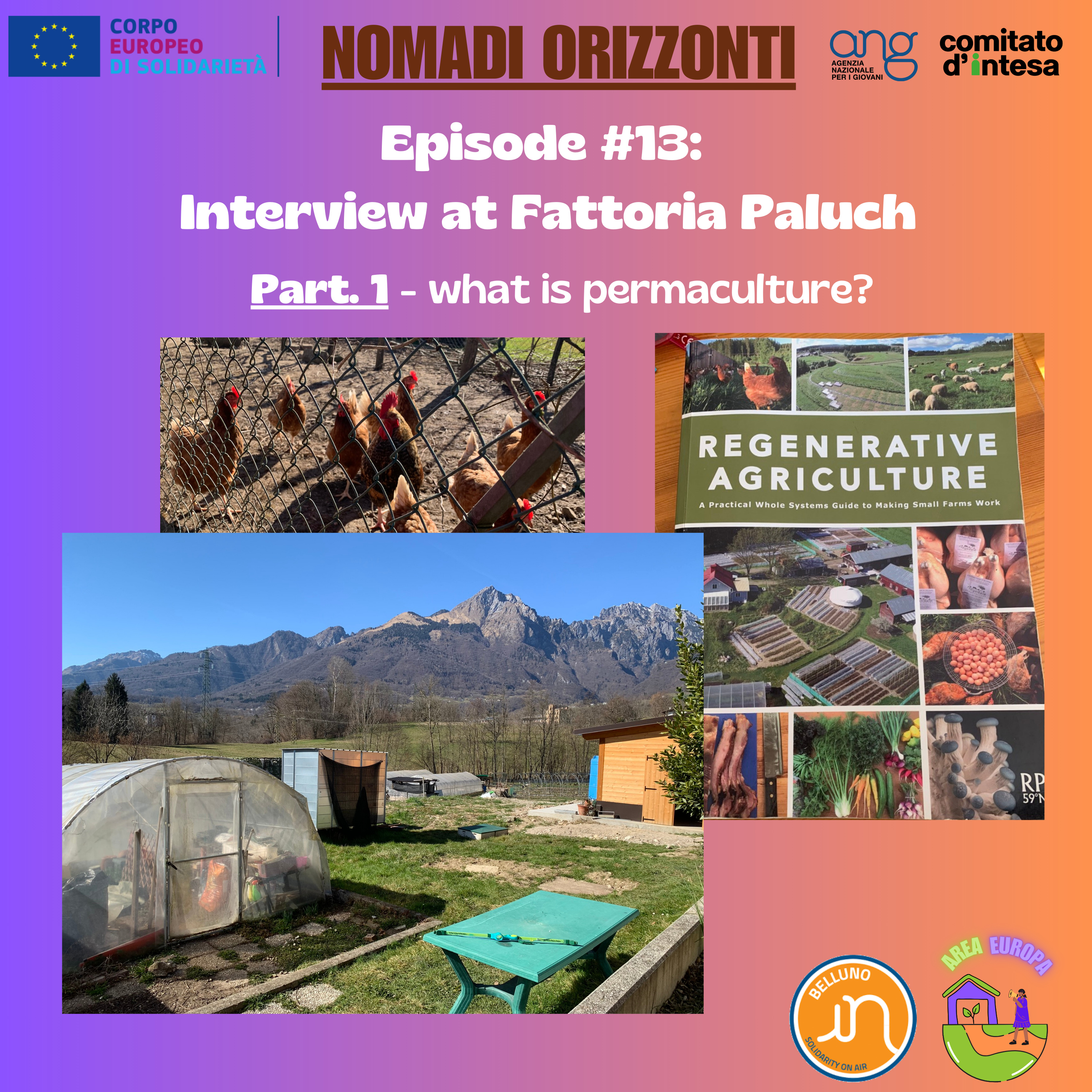 Nomadi Orizzonti #13 (part 1): interview at Fattoria Paluch - what is permaculture? episode artwork