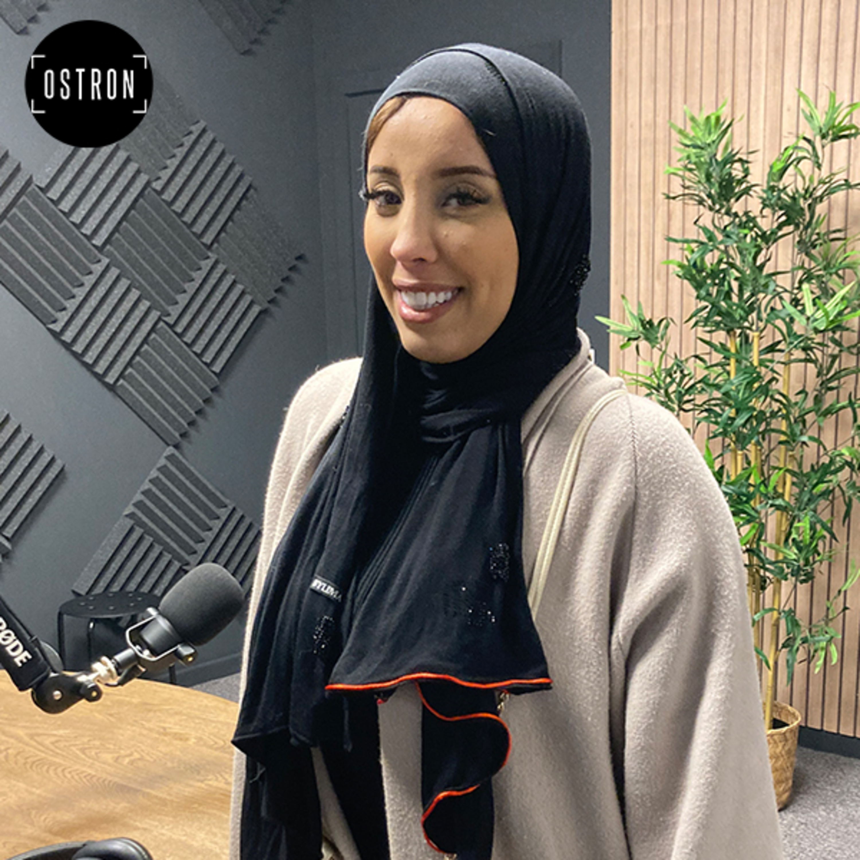 Ostron: Visual Thinking