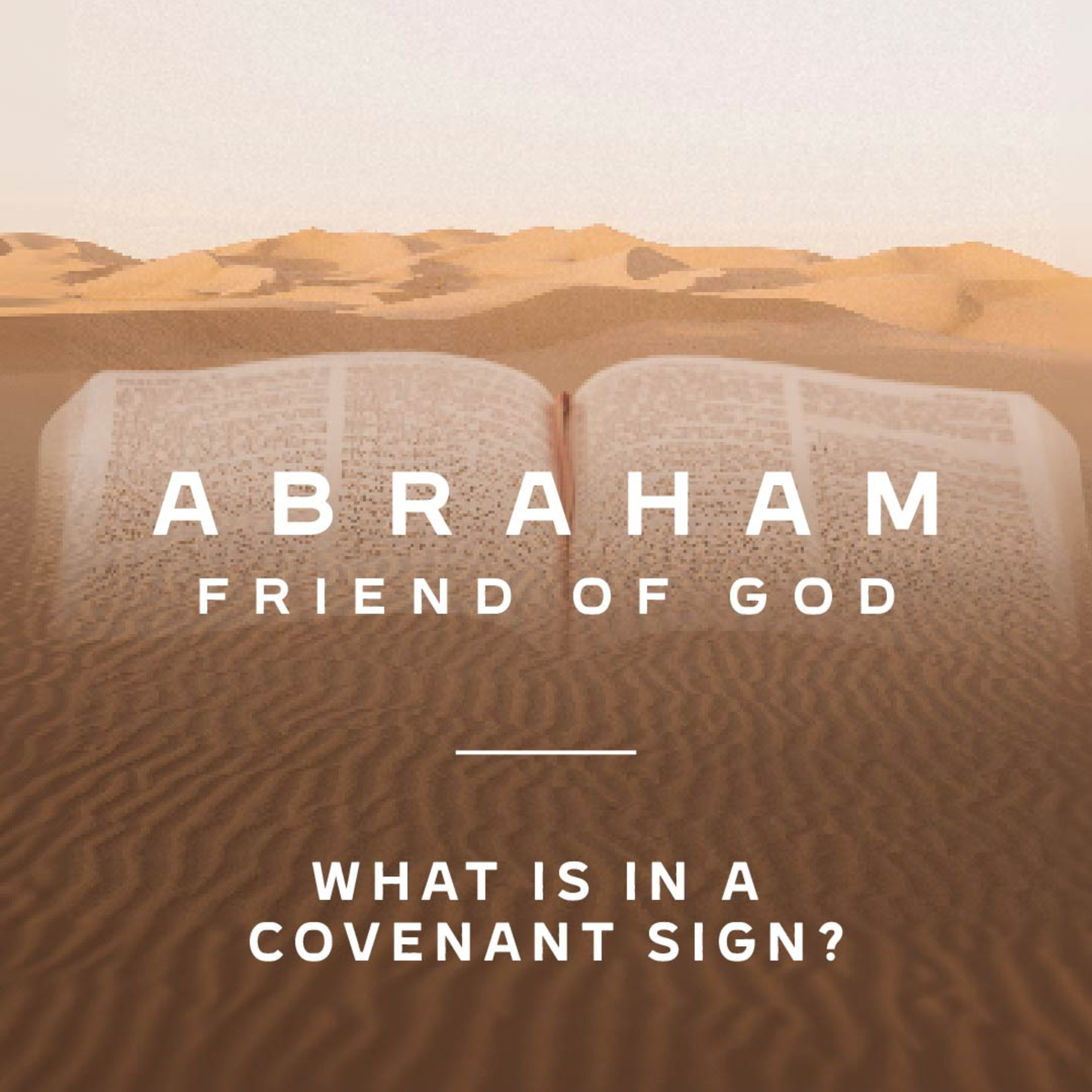 Genesis 17 - What is in a Covenant Sign | Abraham: Friend of God episode artwork