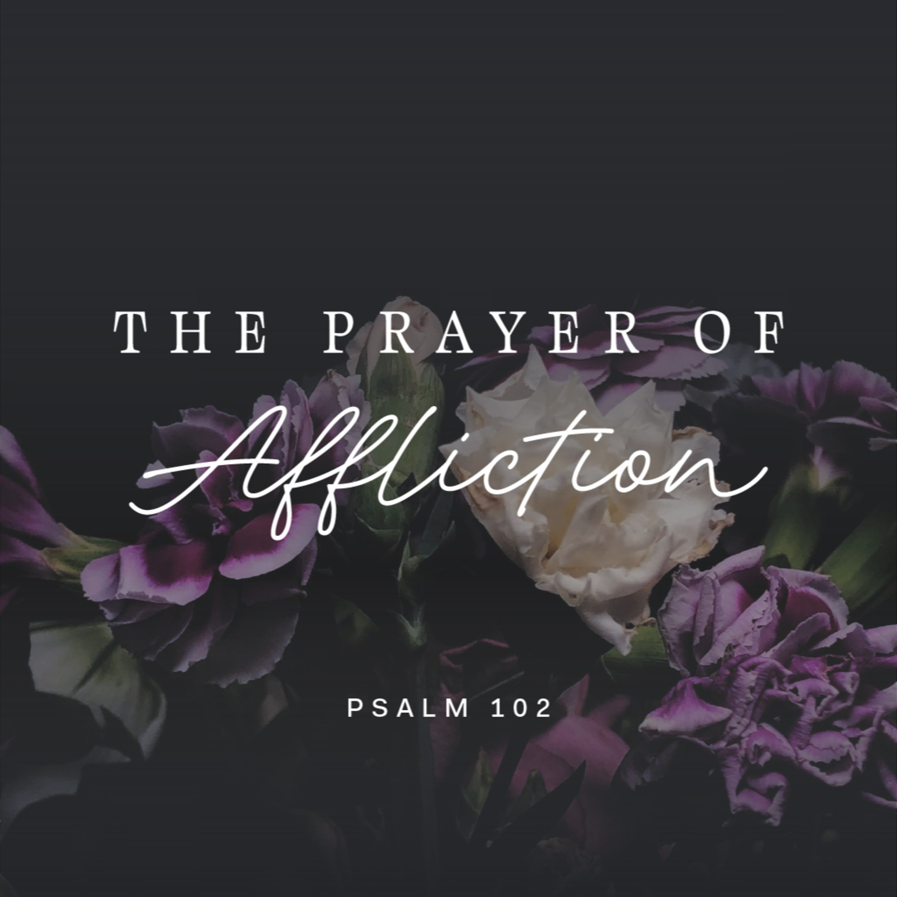 Psalm 102 - The Prayer of Affliction  episode artwork