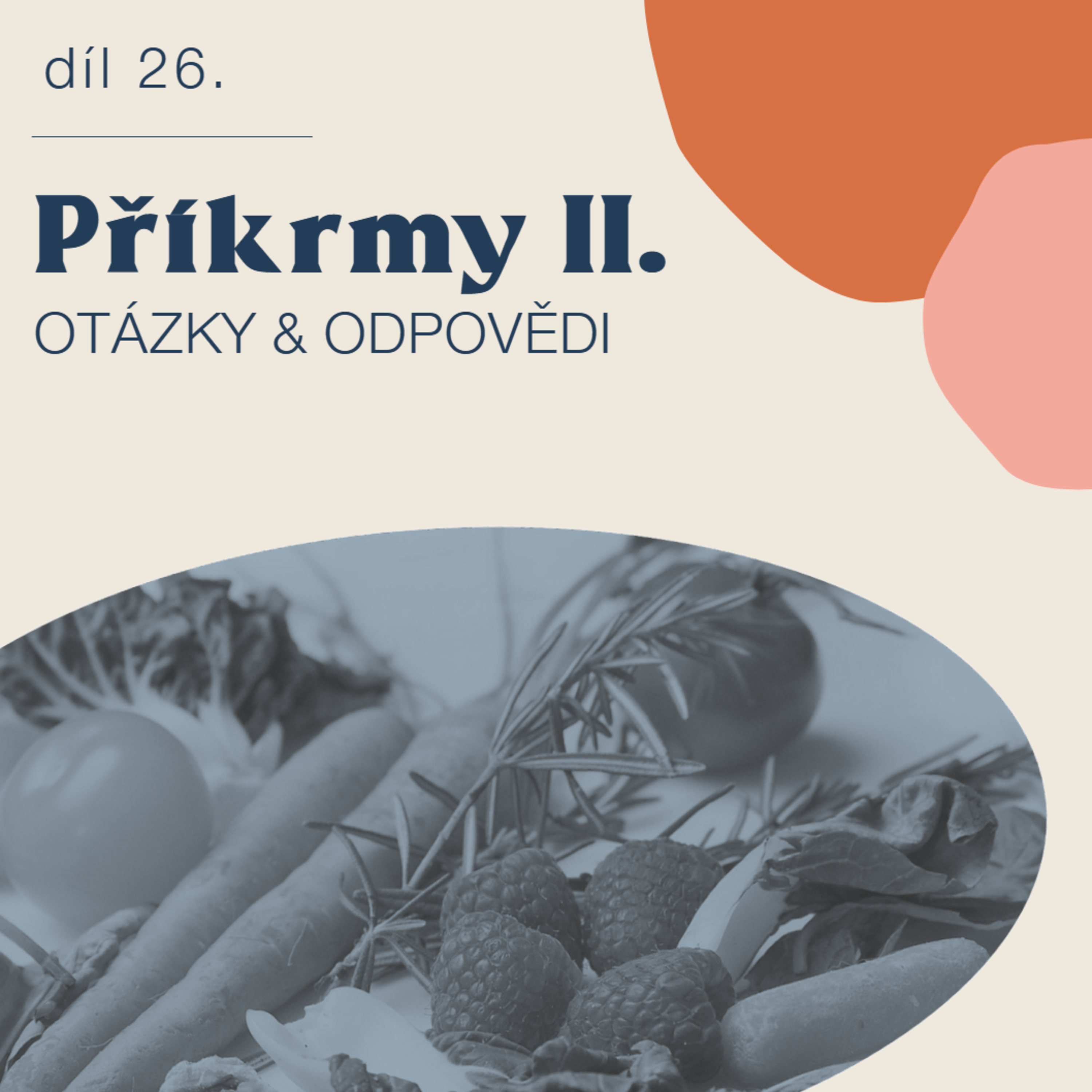 # 26 Příkrmy II - otázky & odpovědi episode artwork