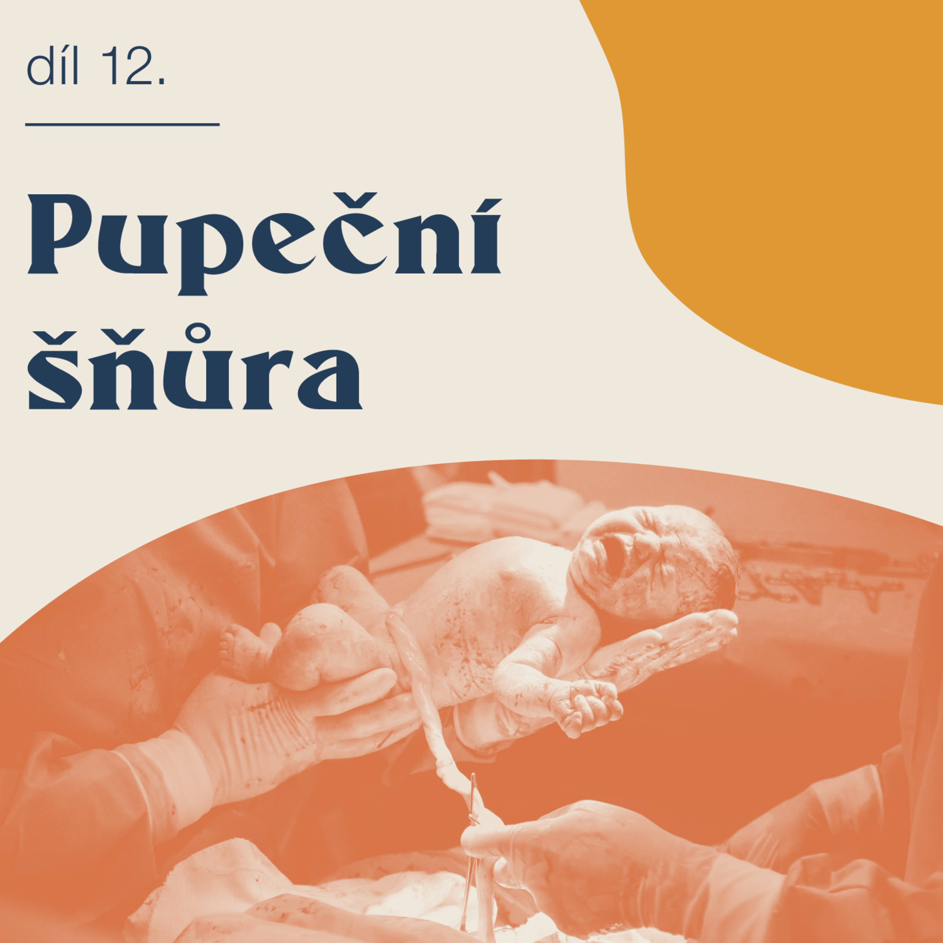 # 12 Pupeční šňůra episode artwork