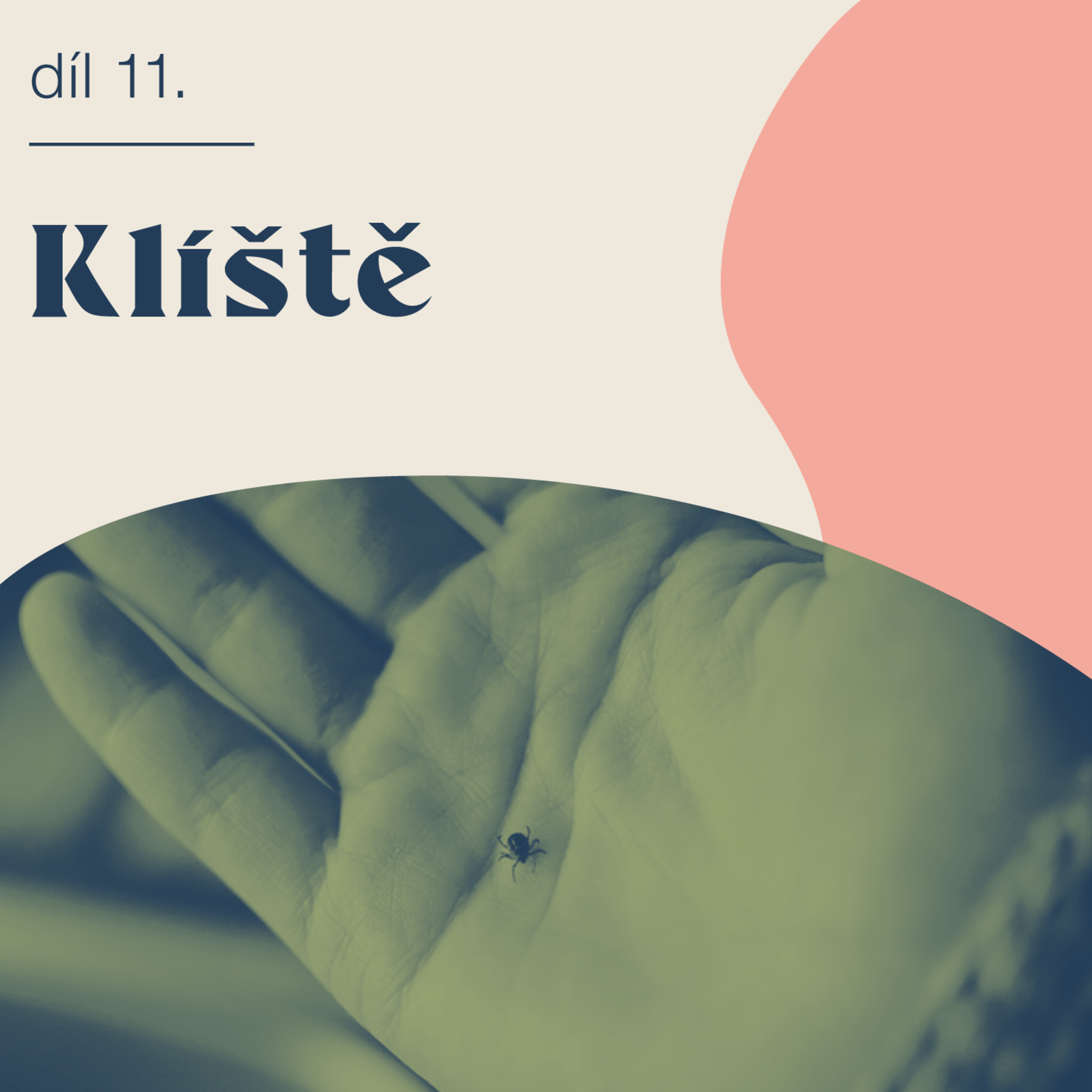 # 11 Klíště episode artwork
