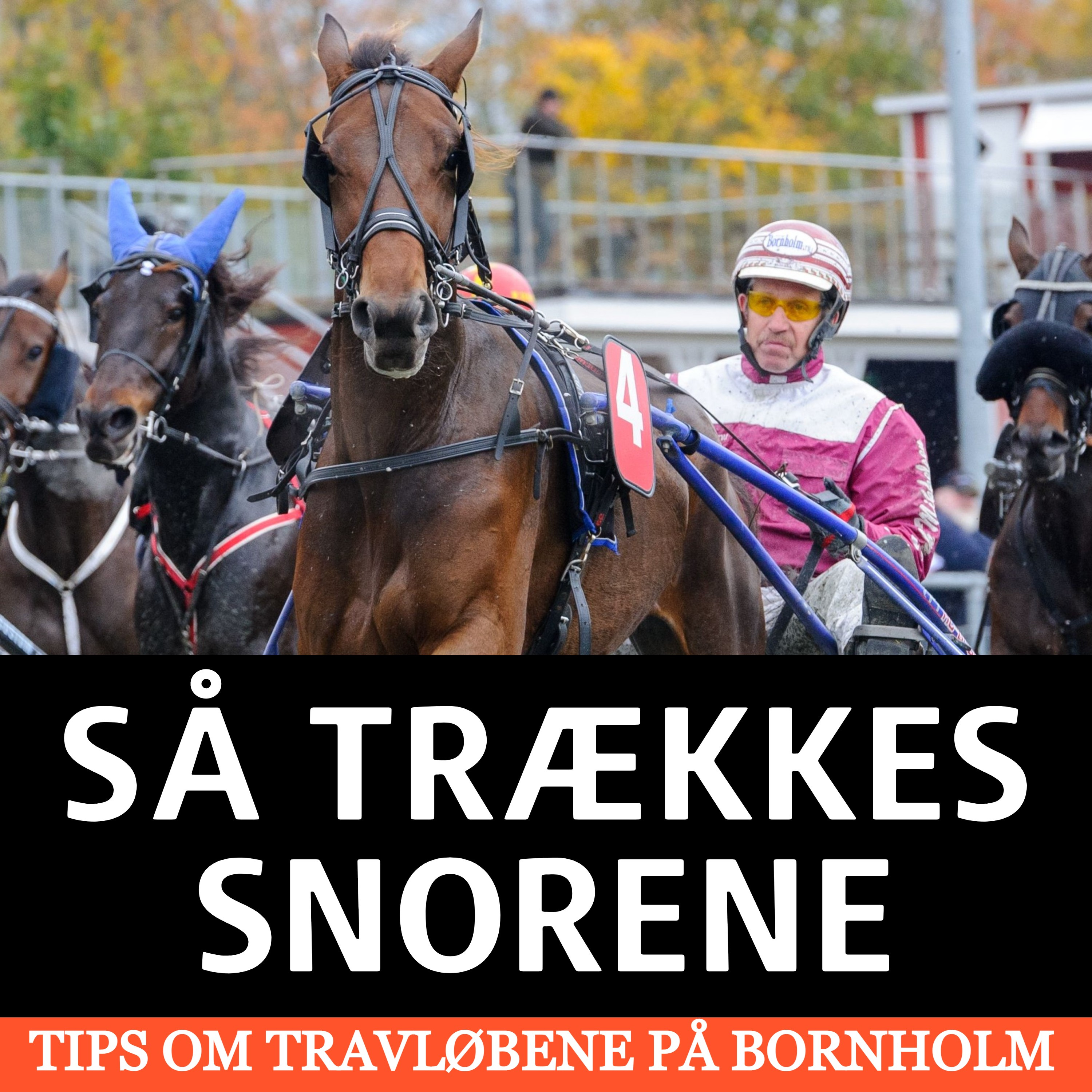 SÅ TRÆKKES SNORENE episode artwork