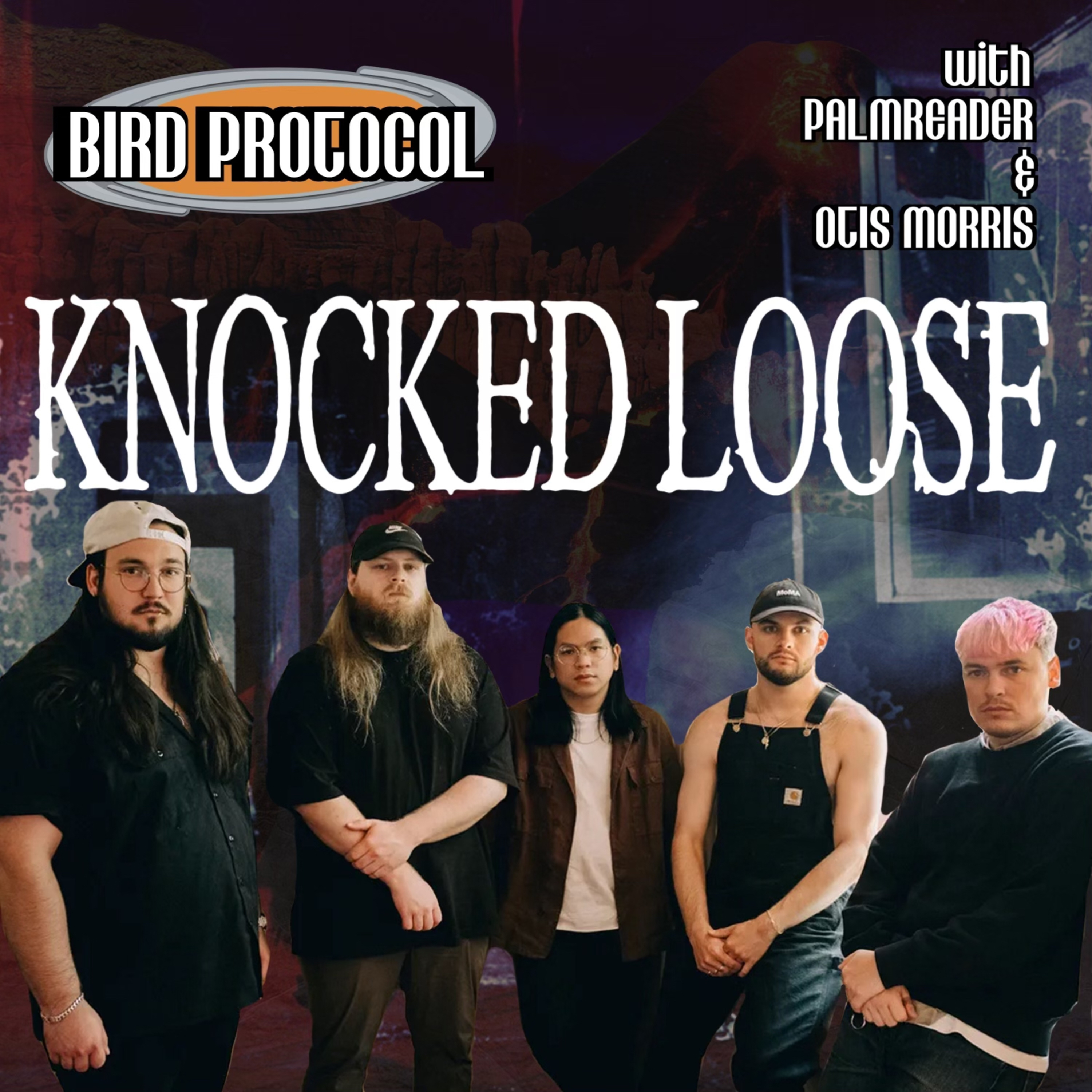 BIRD PROTOCOL