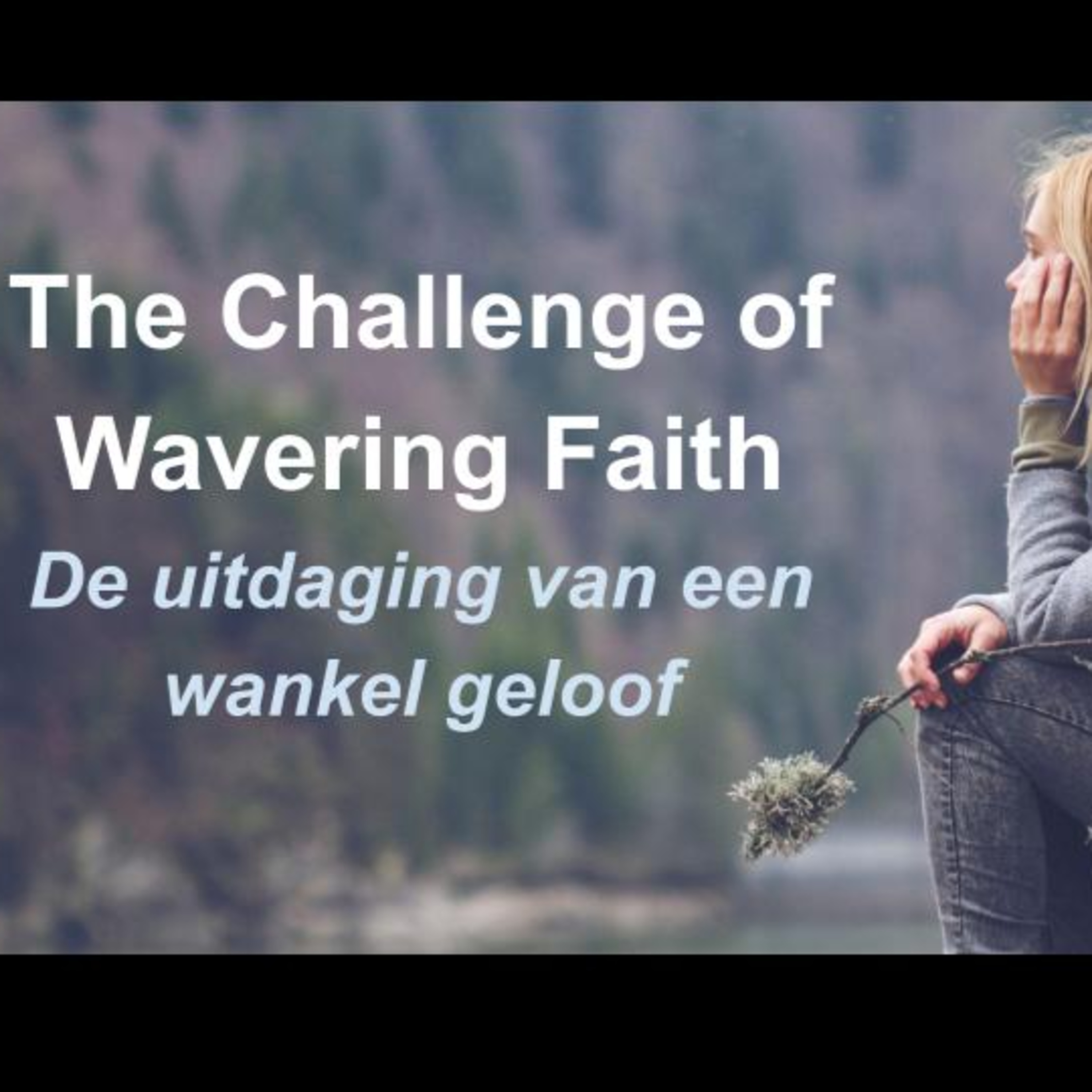 Evangelische Kerk de Burg