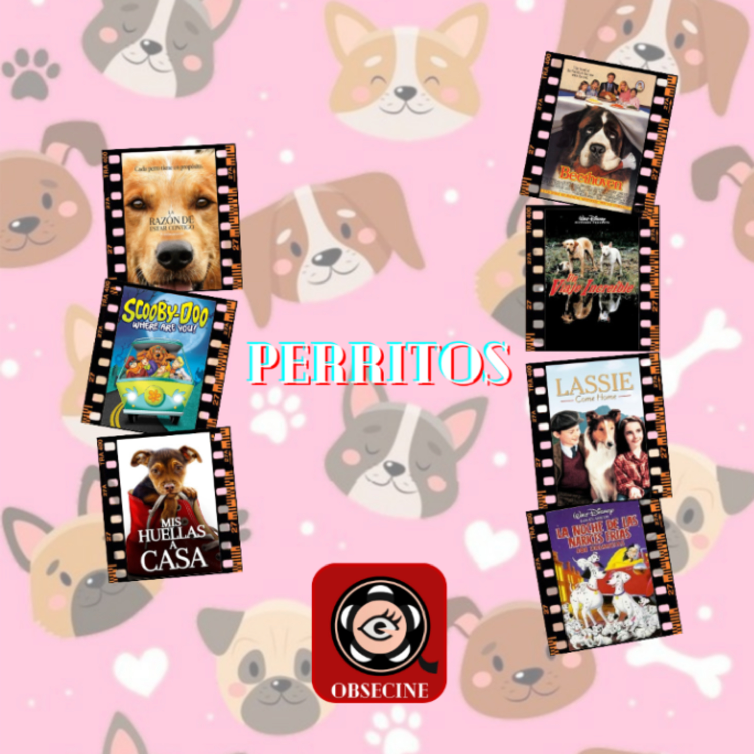 Perritos episode artwork