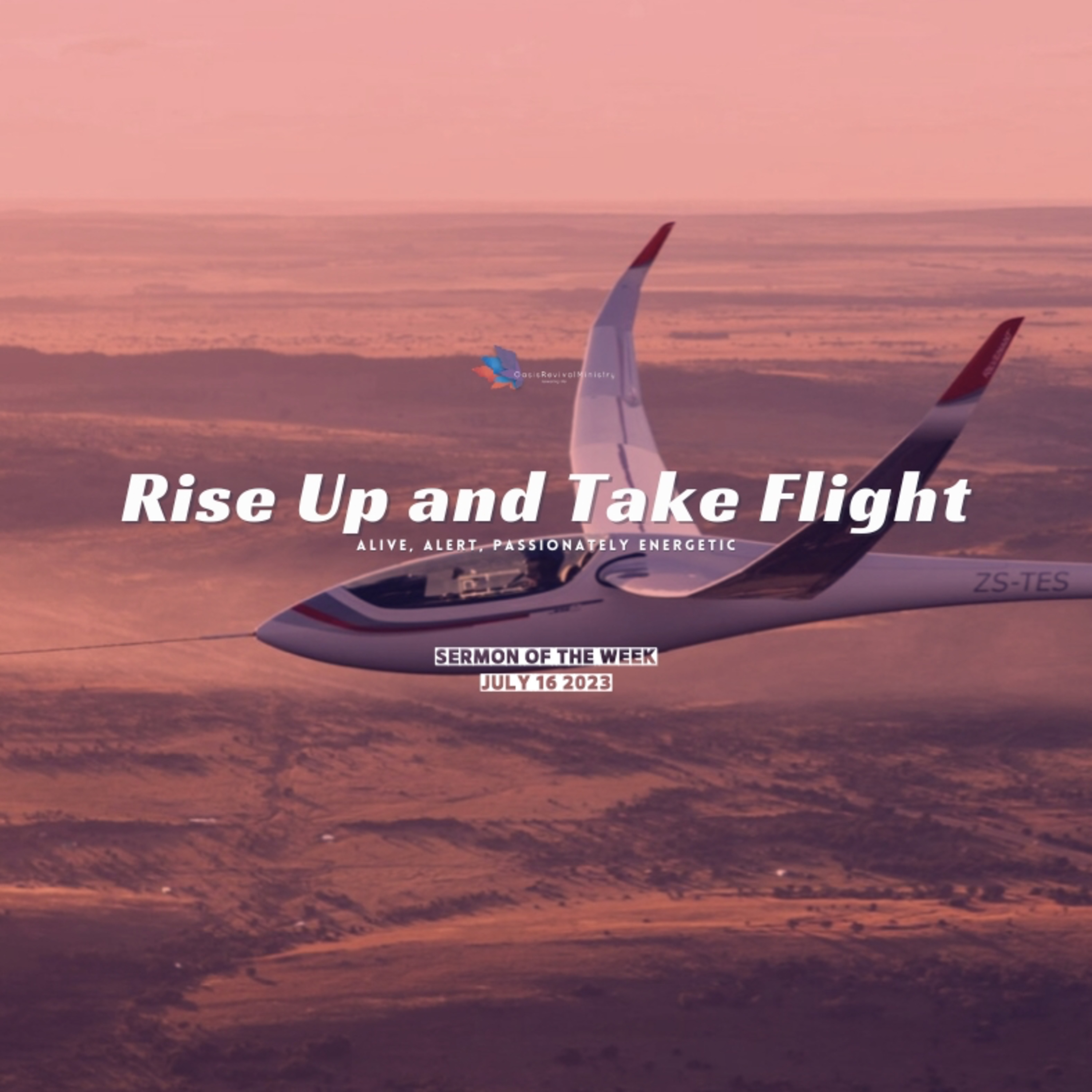 Daniel McGeer | Rise Up and Take Flight | July 16 2023 episode artwork