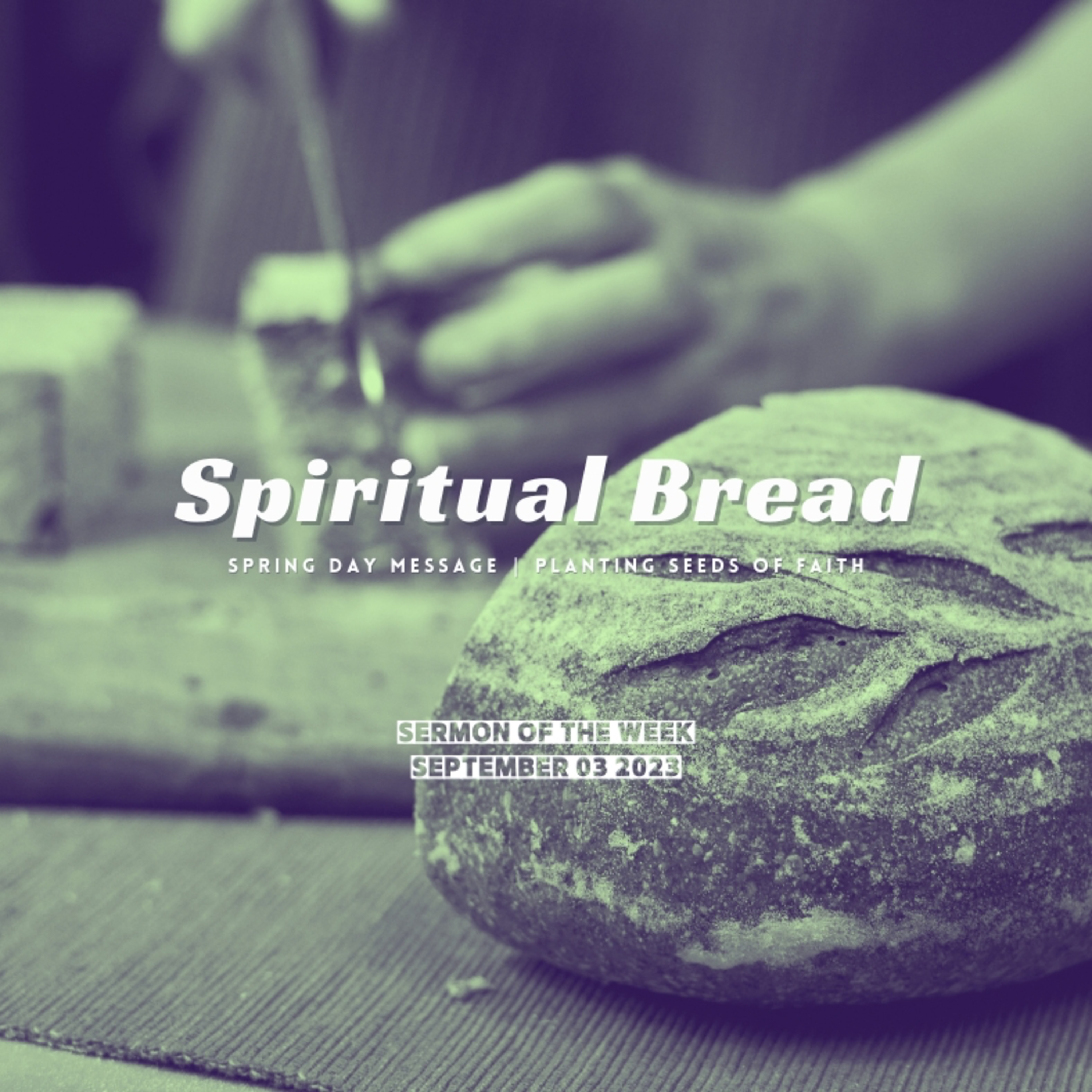 Daniel McGeer | Spiritual Bread | September 03 2023 episode artwork