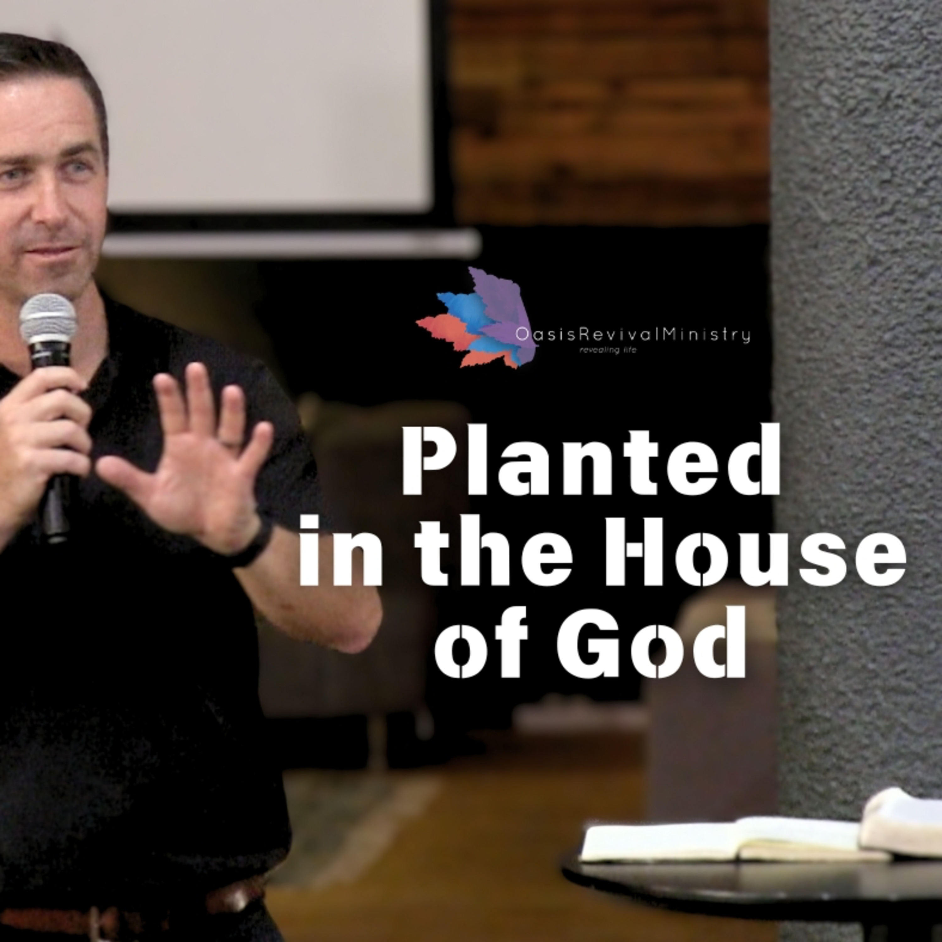 Daniel McGeer | Planted in the House: Walking in the Fullness of Your Anointing | Daniel McGeer episode artwork