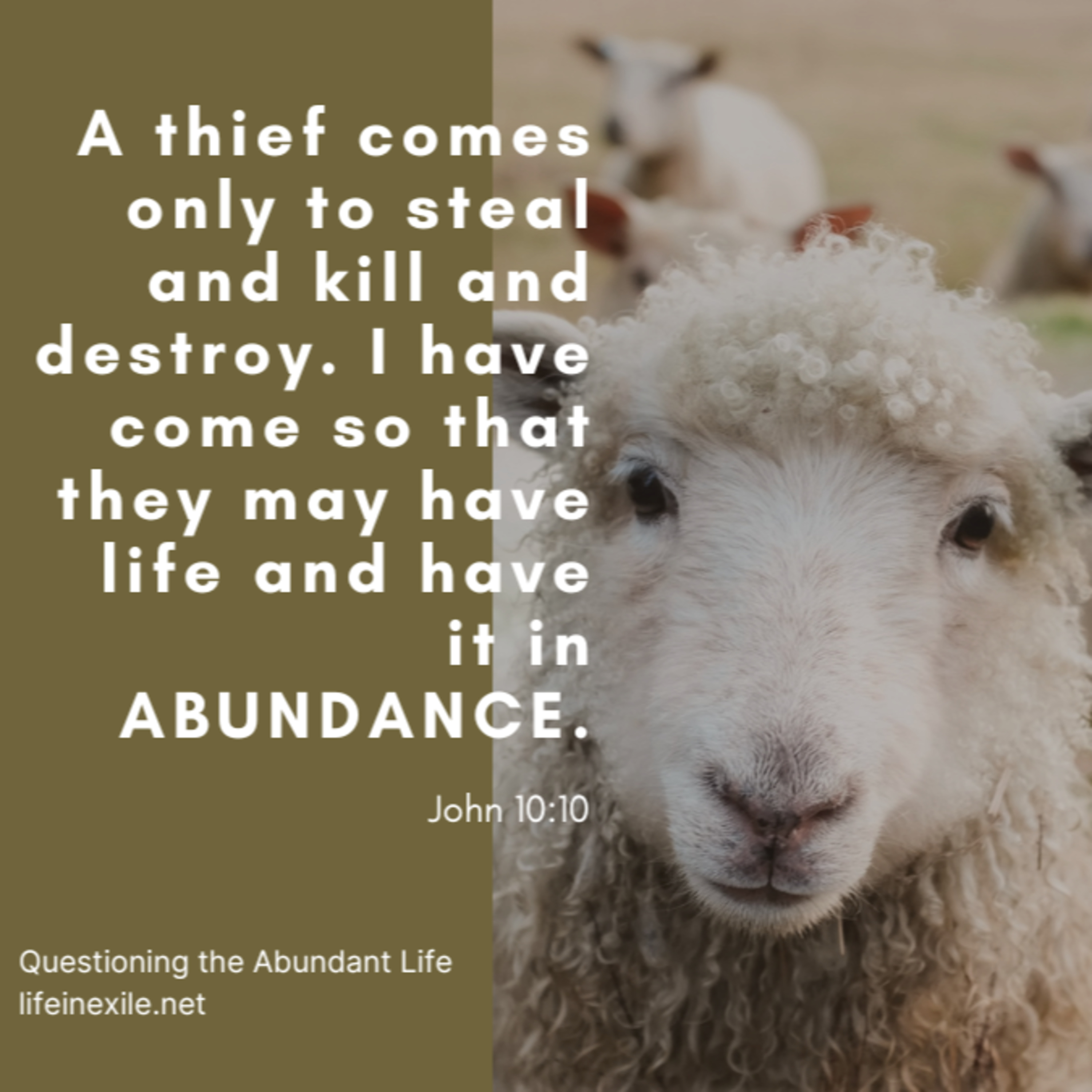 Questioning the Abundant Life episode artwork