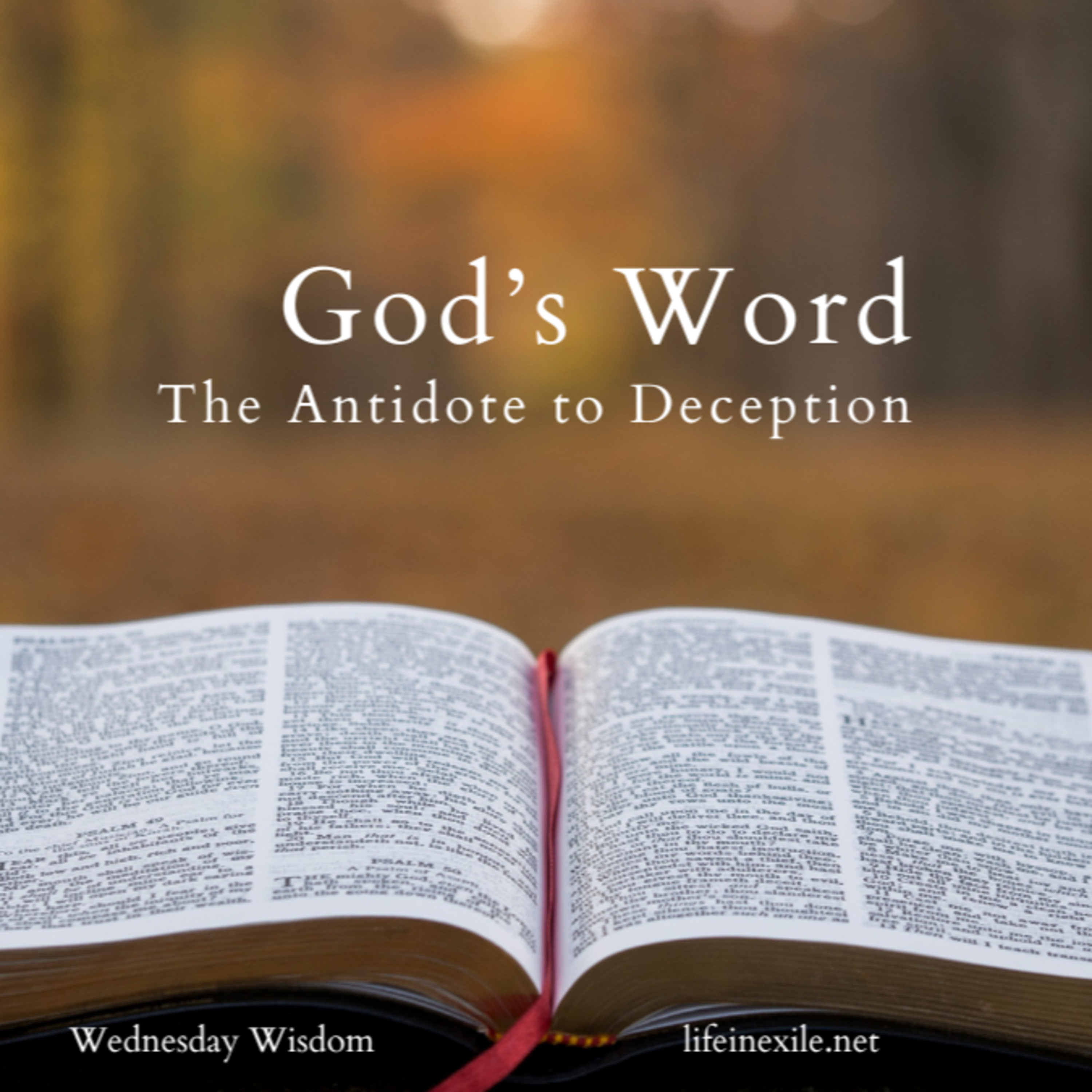 God's Word: The Antidote to Deception episode artwork